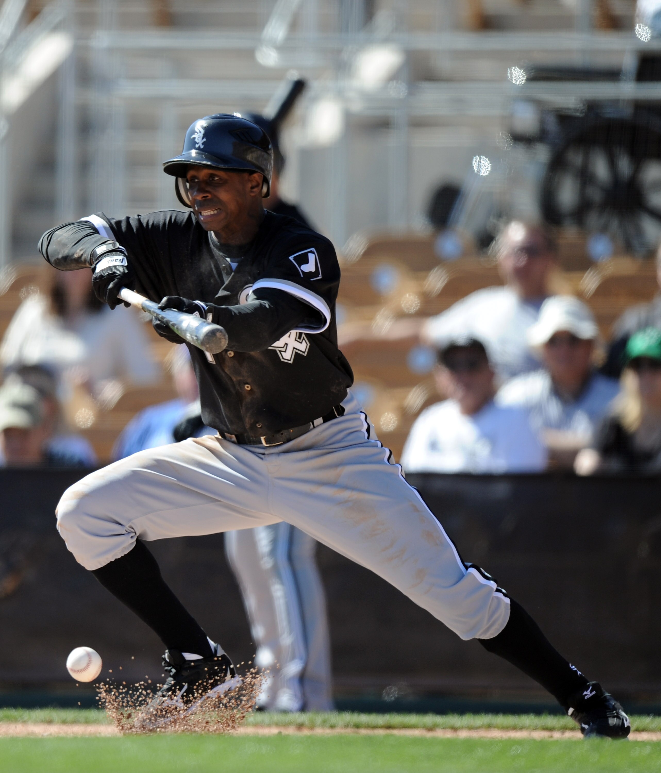 PHOENIX, AZ - FEBRUARY 28:  Juan Pierre #1 of the Chicago White Sox bunts for a single against the Los Angeles Dodgers during spring training at Camelback Ranch on February 28, 2011 in Phoenix, Arizona.  (Photo by Harry How/Getty Images)