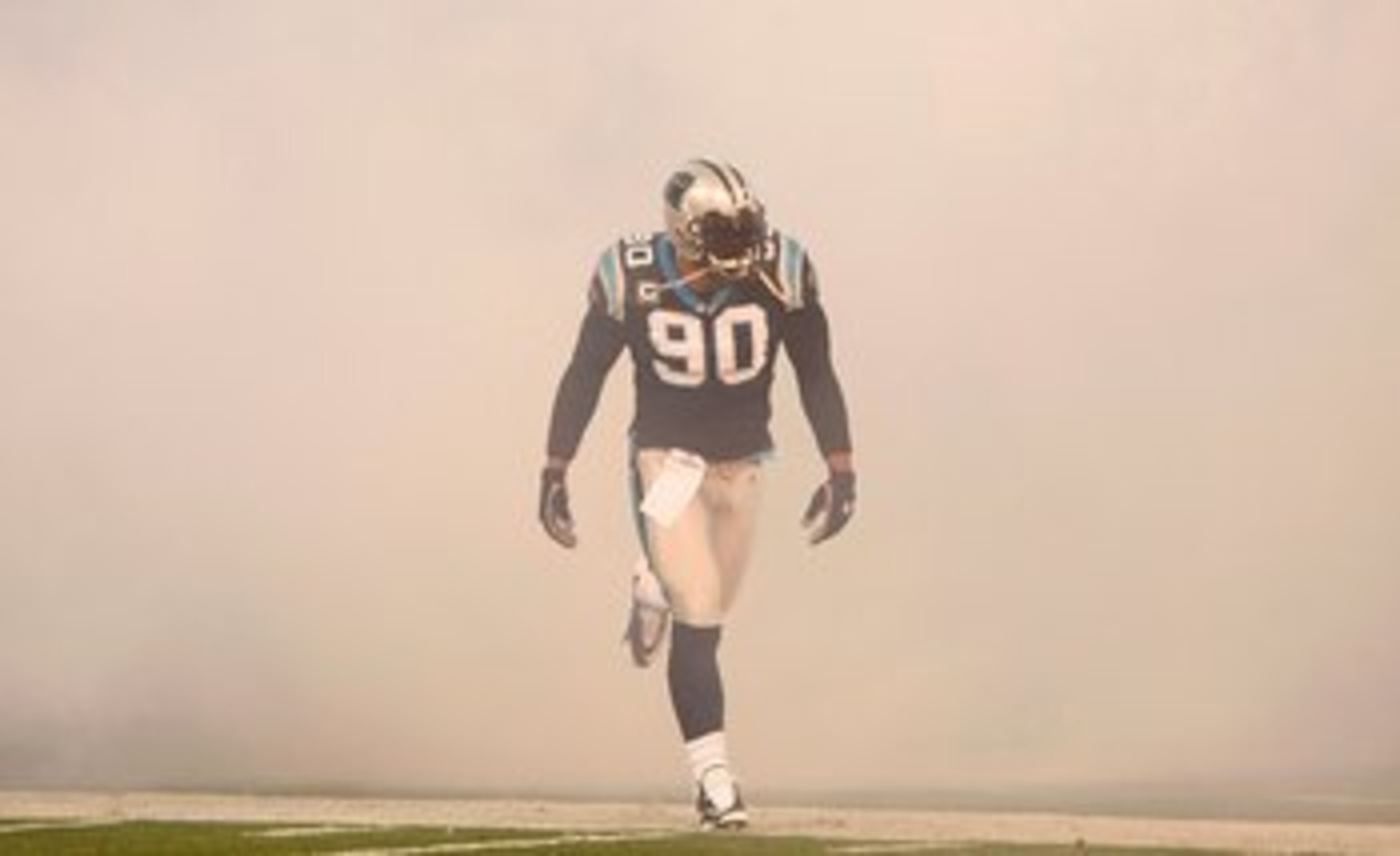 CHARLOTTE, NC - DECEMBER 20:  Julius Peppers #90 of the Carolina Panthers against the Minnesota Vikings at Bank of America Stadium on December 20, 2009 in Charlotte, North Carolina.  (Photo by Kevin C. Cox/Getty Images)