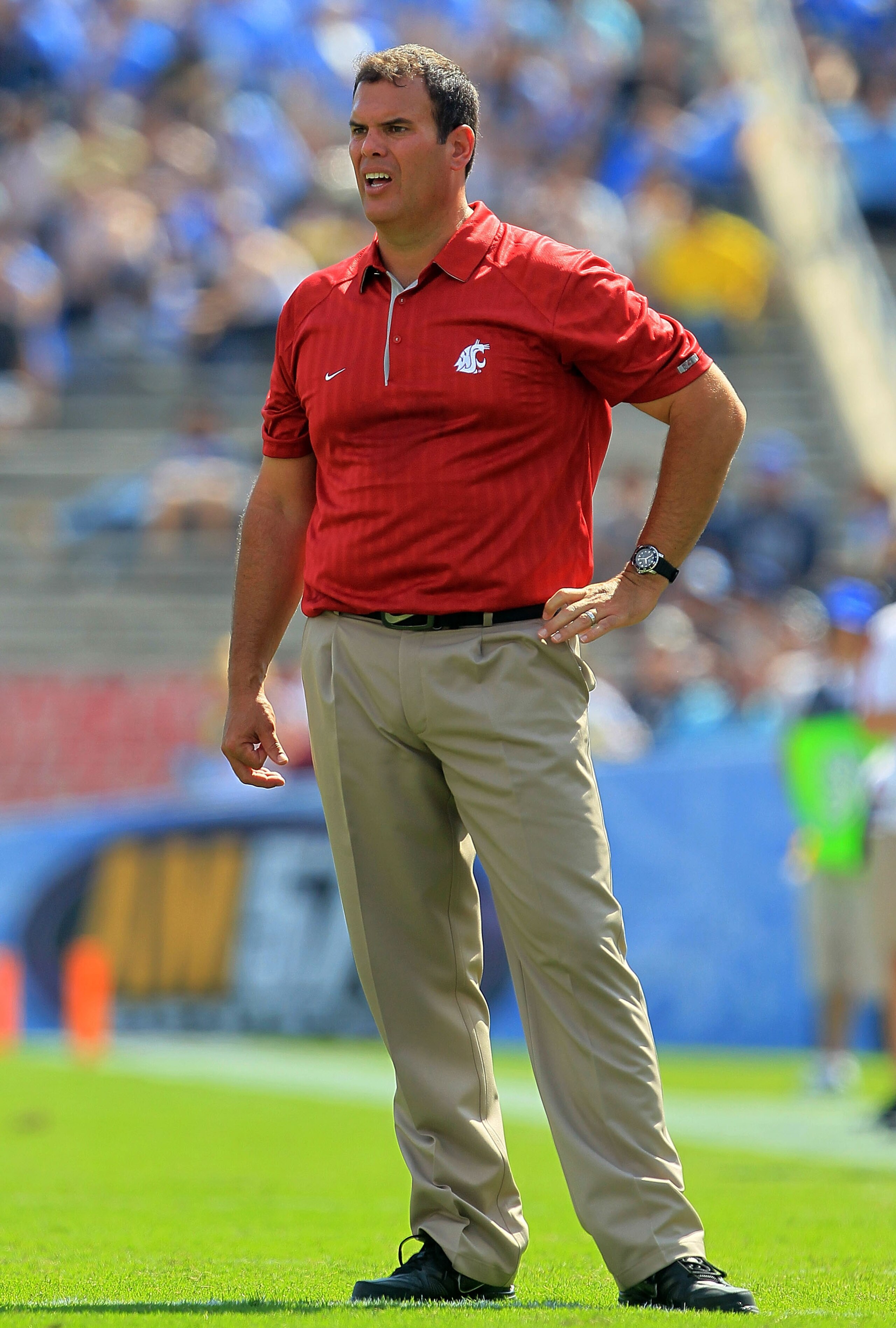 PASADENA, CA - OCTOBER 02: Washington State Cougars head coach Paul Wulff watches the game against the UCLA Bruins at the Rose Bowl on October 2, 2010 in Pasadena, California. UCLA defeated Washington State 42-28. (Photo by Jeff Gross/Getty Images) PASADENA, CA - OCTOBER 02: Washington State Cougars head coach Paul Wulff watches the game against the UCLA Bruins at the Rose Bowl on October 2, 2010 in Pasadena, California. UCLA defeated Washington State 42-28. (Photo by Jeff Gross/Getty Images)