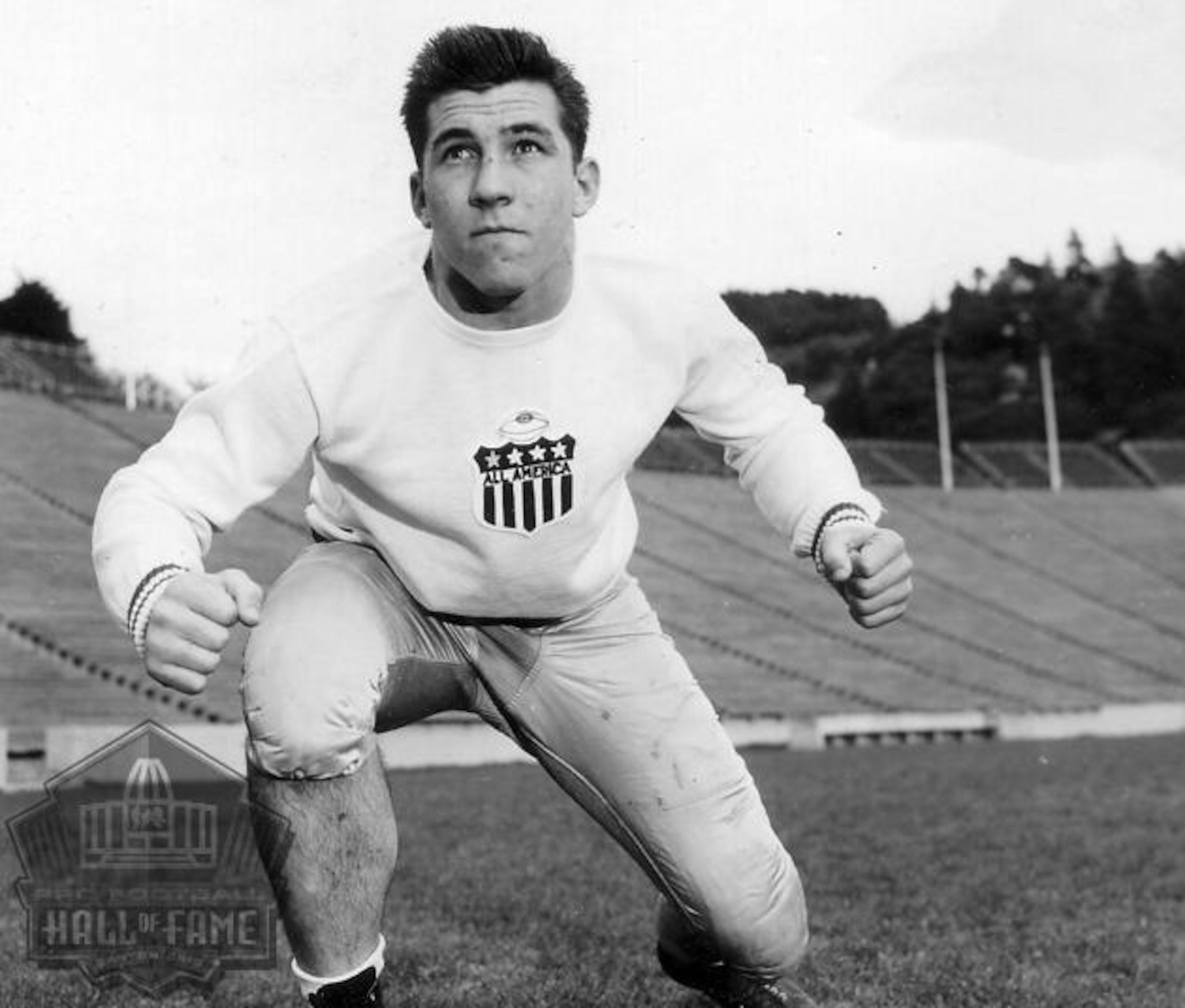 copyright profootballhof.com