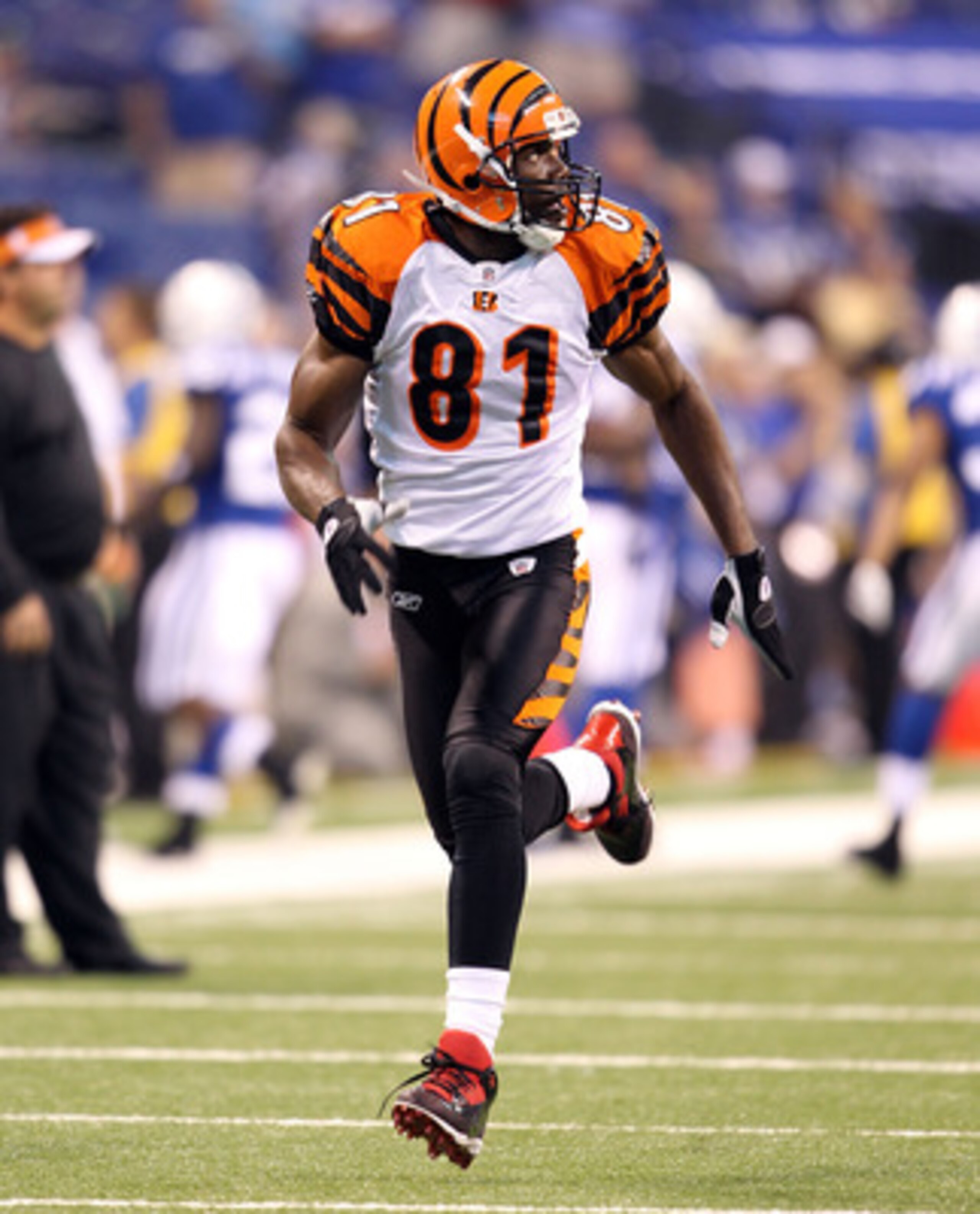 INDIANAPOLIS - SEPTEMBER 02:  Terrell Owens #81  of the Cincinnati Bengals catches a pass before the NFL preseason game against the Indianapolis Colts at Lucas Oil Stadium on September 2, 2010 in Indianapolis, Indiana.  (Photo by Andy Lyons/Getty Images)