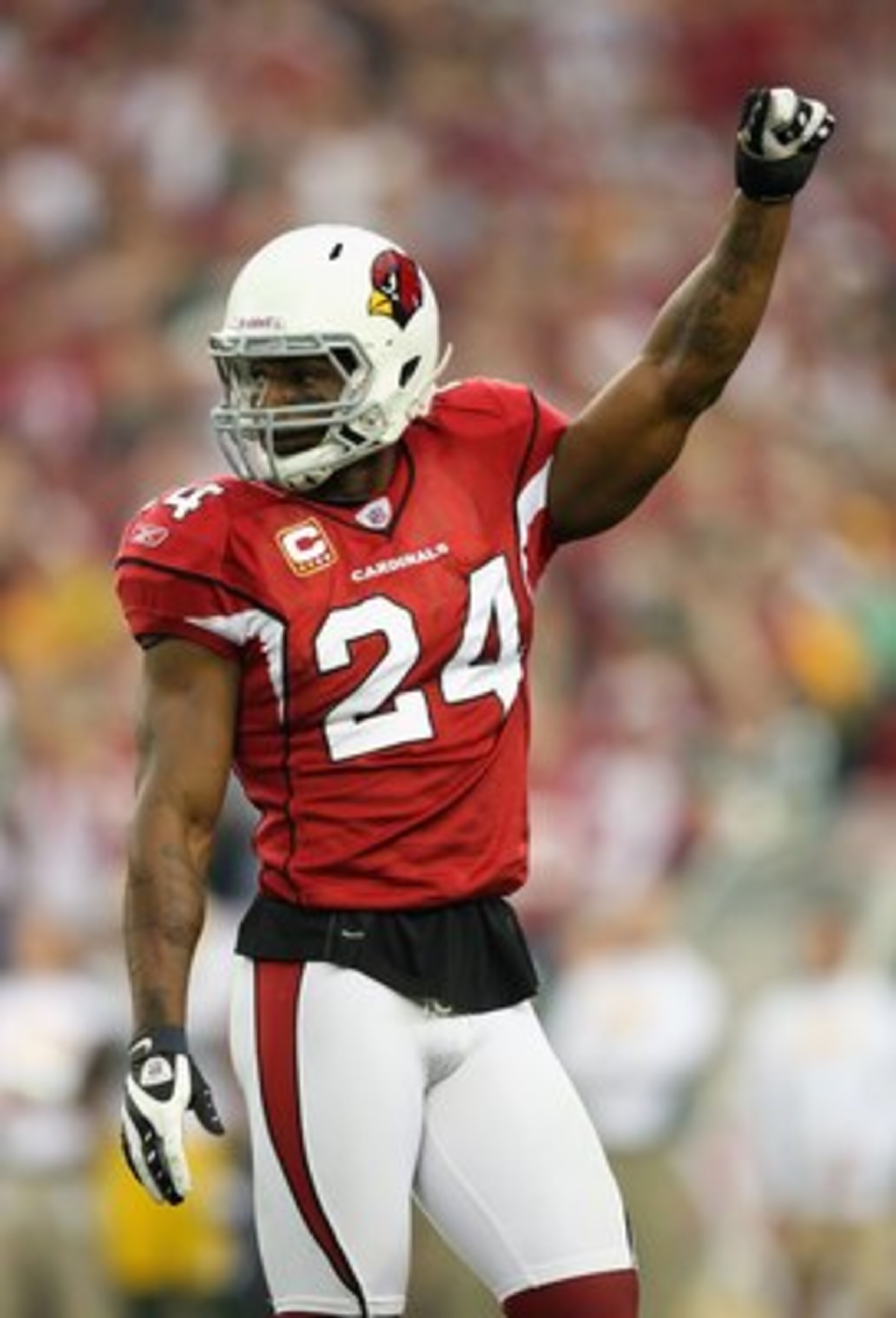 GLENDALE, AZ - JANUARY 10:  Safety Adrian Wilson #24 of the Arizona Cardinals celebrates during the 2010 NFC wild-card playoff game against  the Green Bay Packers at the Universtity of Phoenix Stadium on January 10, 2010 in Glendale, Arizona.  The Cardina