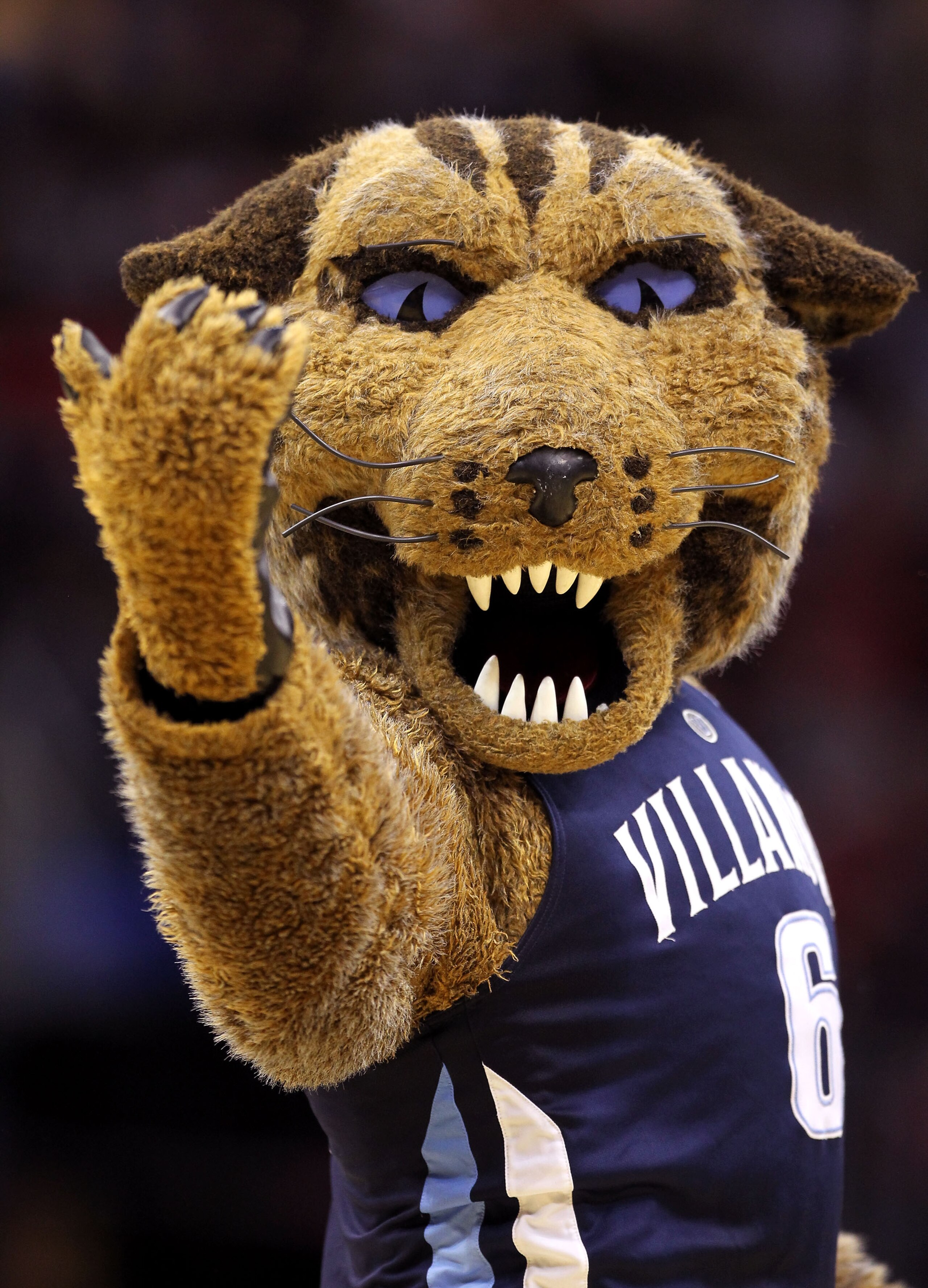 CLEVELAND, OH - MARCH 18: The Villanova Wildcats mascot walks on the court during the game against the George Mason Patriots during the second round of the 2011 NCAA men's basketball tournament at Quicken Loans Arena on March 18, 2011 in Cleveland, Ohio. CLEVELAND, OH - MARCH 18: The Villanova Wildcats mascot walks on the court during the game against the George Mason Patriots during the second round of the 2011 NCAA men's basketball tournament at Quicken Loans Arena on March 18, 2011 in Cleveland, Ohio.
