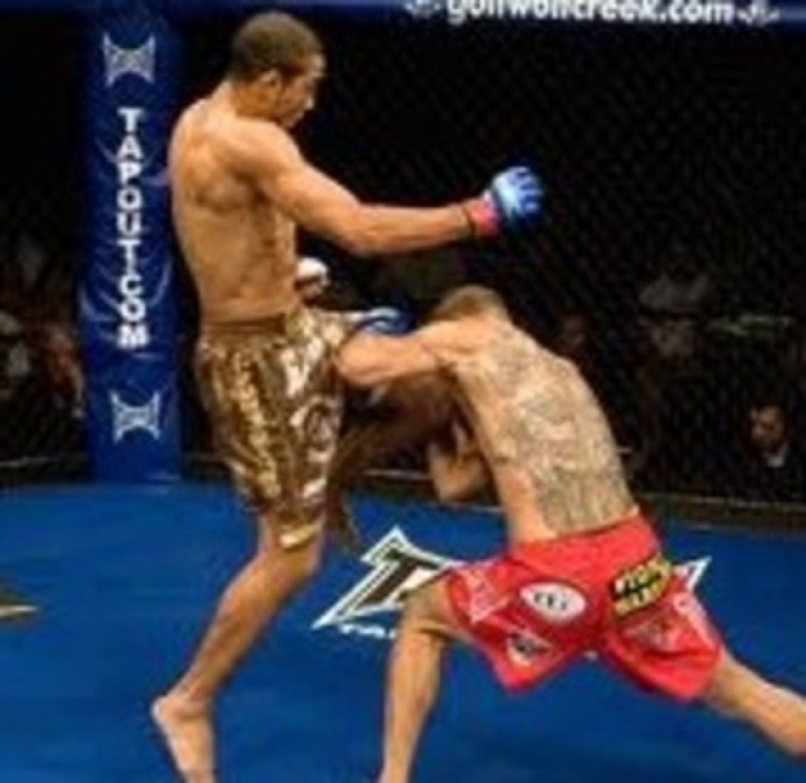 UFC featherweight champion, Jose Aldo "Junior"