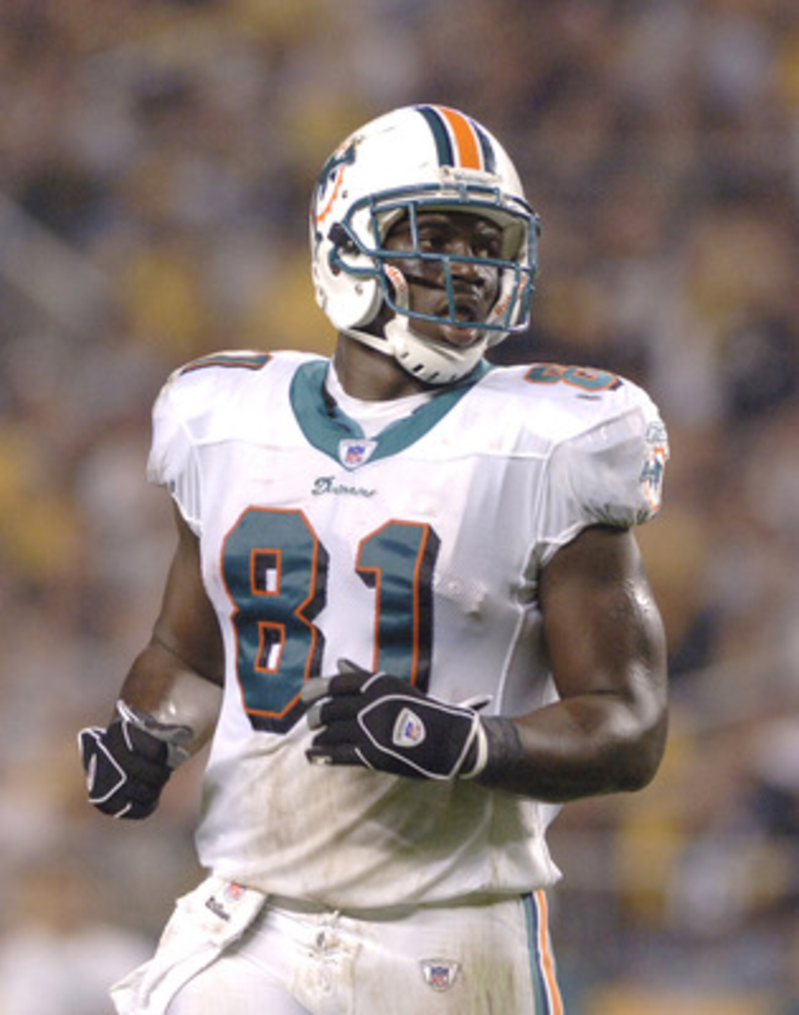 Randy McMichael of the Miami Dolphins during a game between the Pittsburgh Steelers and Miami Dolphins at Heinz Field in Pittsburgh, Pennsylvania on September 7, 2006. The Steelers won 28-17. (Photo by Al Messerschmidt/Getty Images) Randy McMichael of the Miami Dolphins during a game between the Pittsburgh Steelers and Miami Dolphins at Heinz Field in Pittsburgh, Pennsylvania on September 7, 2006. The Steelers won 28-17. (Photo by Al Messerschmidt/Getty Images)