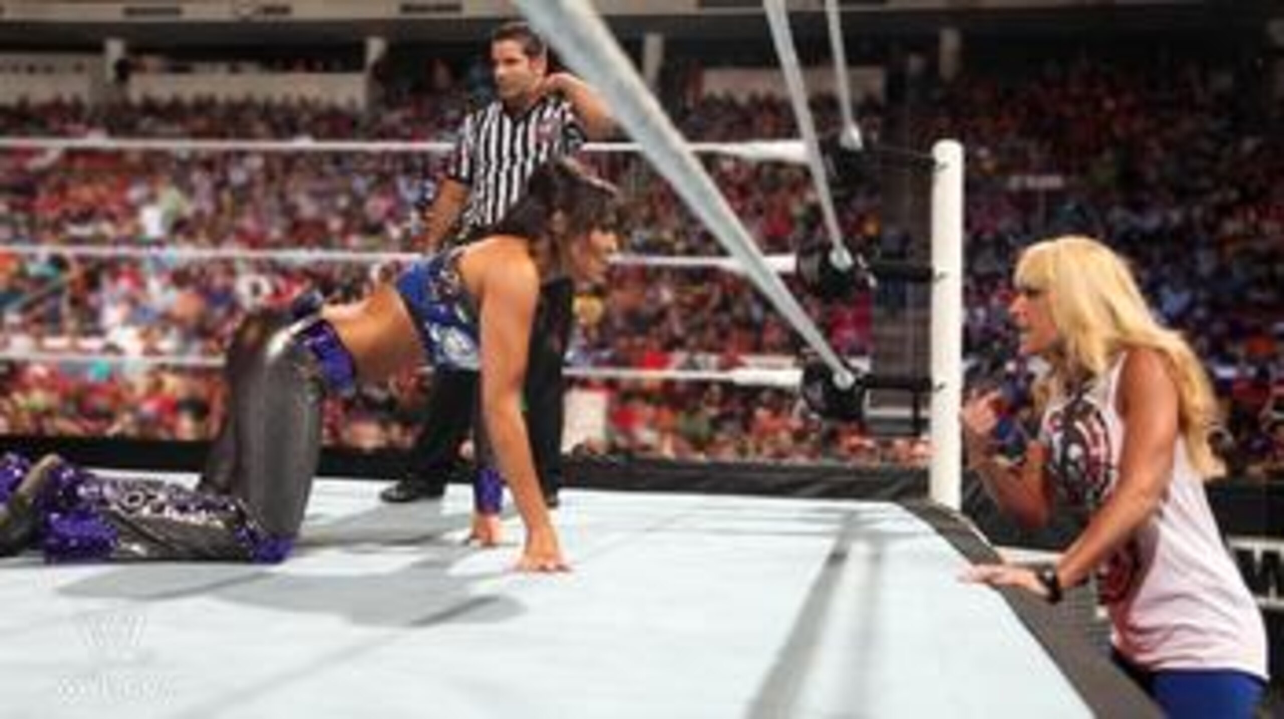 Credit: WWE.com