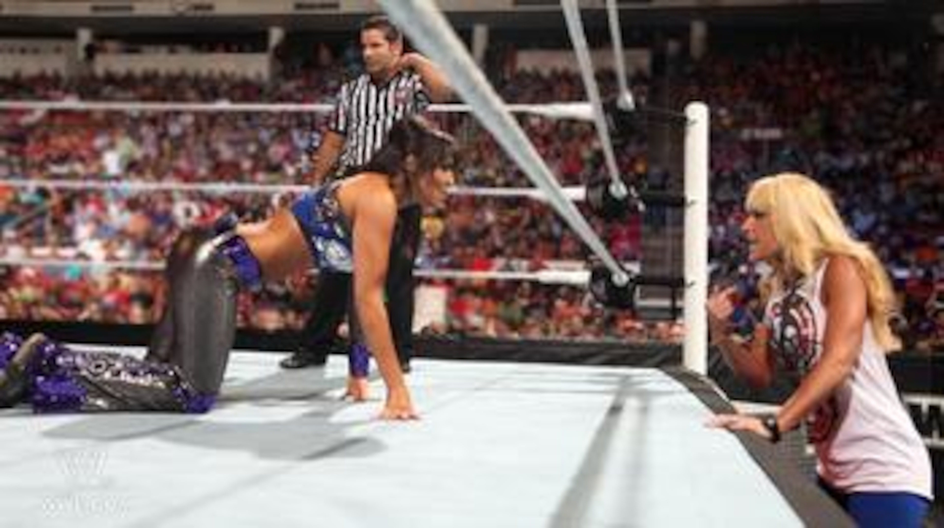 Credit: WWE.com