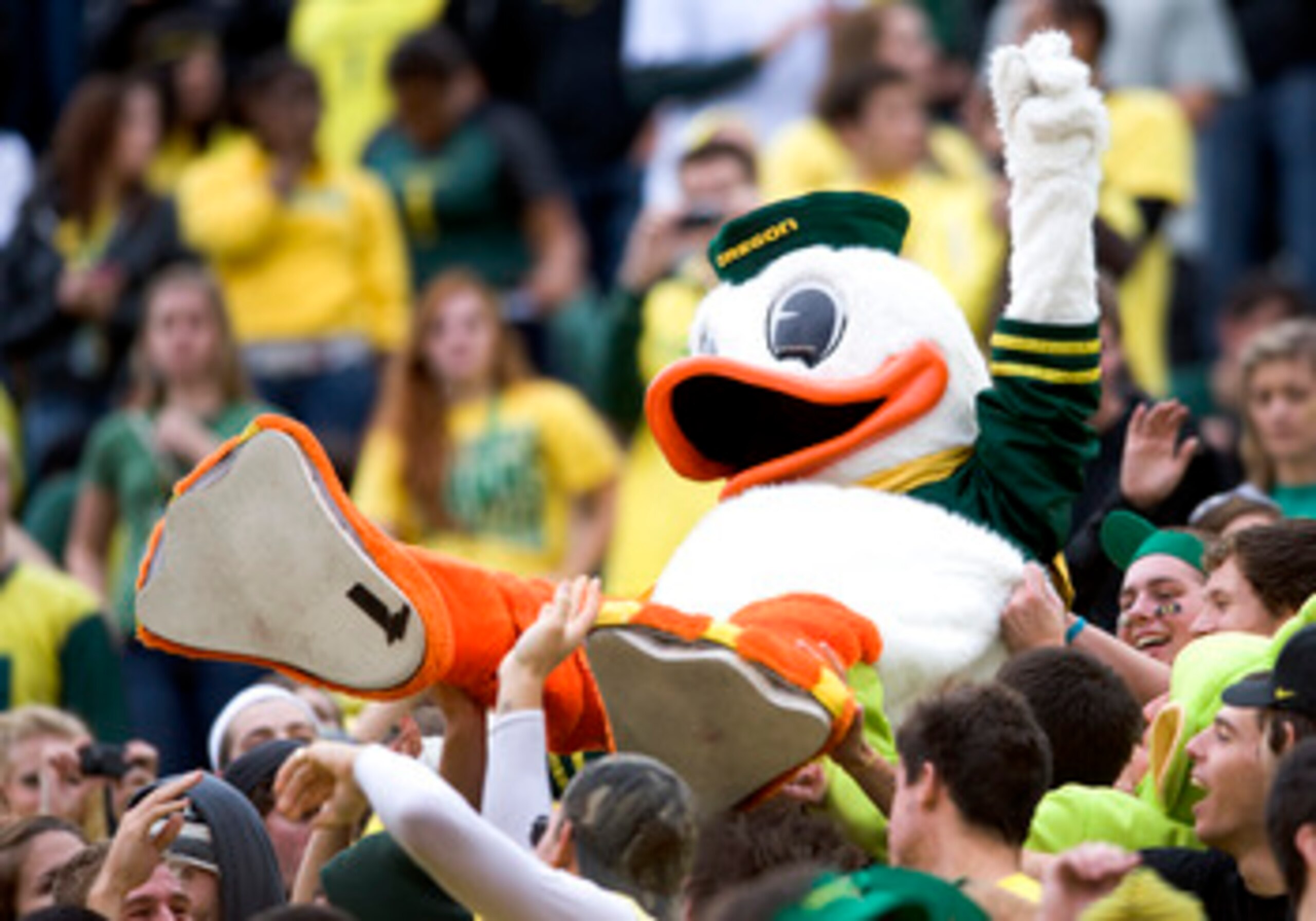 EUGENE, OR - NOVEMBER 06: Mascot 'Puddles' of the Oregon Ducks sdoes some crowd surfing in the fourth quarter of the game between the Washington Huskies and the Oregon Ducks at Autzen Stadium on November 6, 2010 in Eugene, Oregon. The Ducks won the game 5