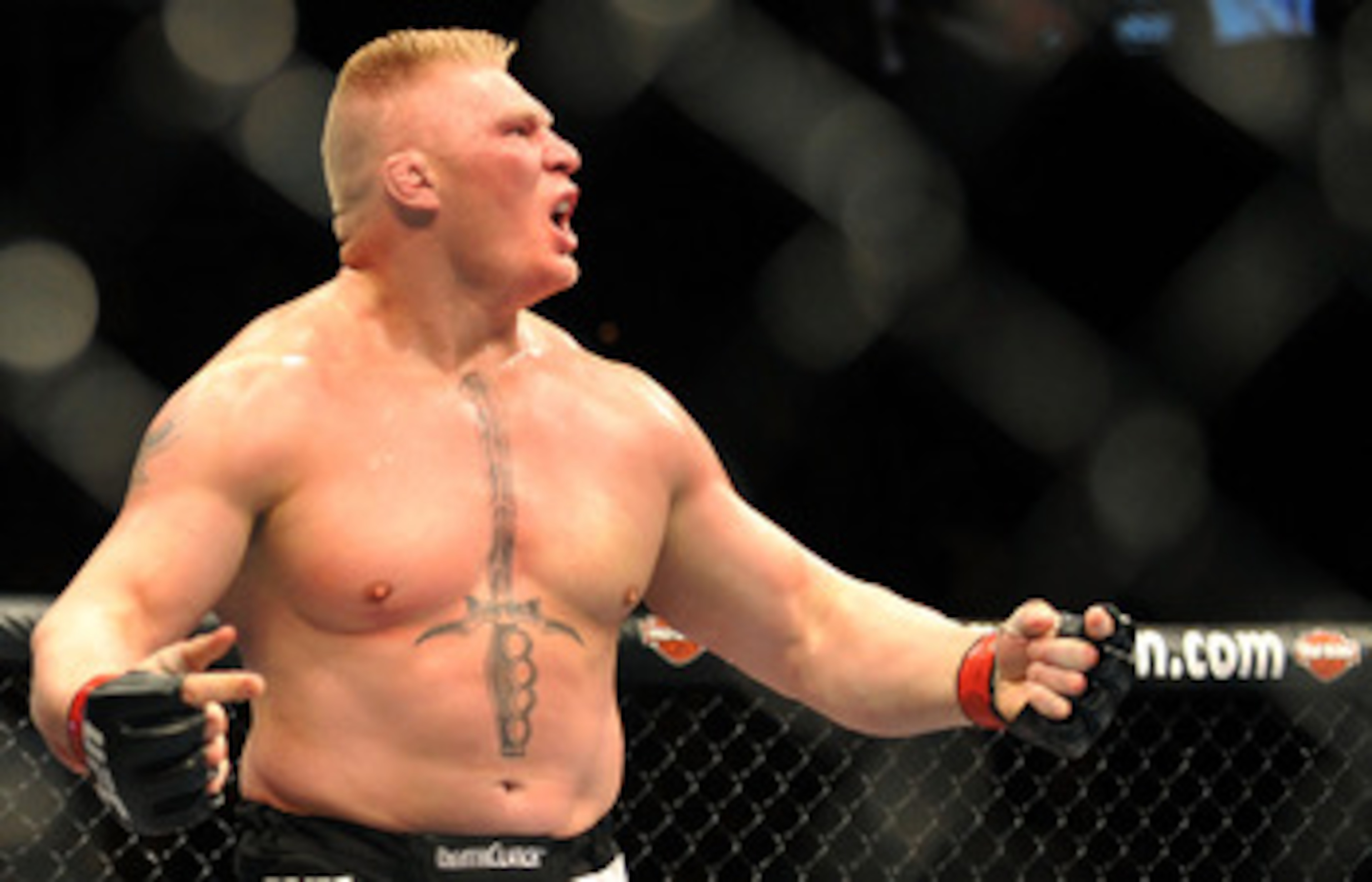 LAS VEGAS - JULY 11: Brock Lesnar reacts after knocking out Frank Mir during their heavyweight title bout during UFC 100 on July 11, 2009 in Las Vegas, Nevada. (Photo by Jon Kopaloff/Getty Images) LAS VEGAS - JULY 11: Brock Lesnar reacts after knocking out Frank Mir during their heavyweight title bout during UFC 100 on July 11, 2009 in Las Vegas, Nevada. (Photo by Jon Kopaloff/Getty Images)