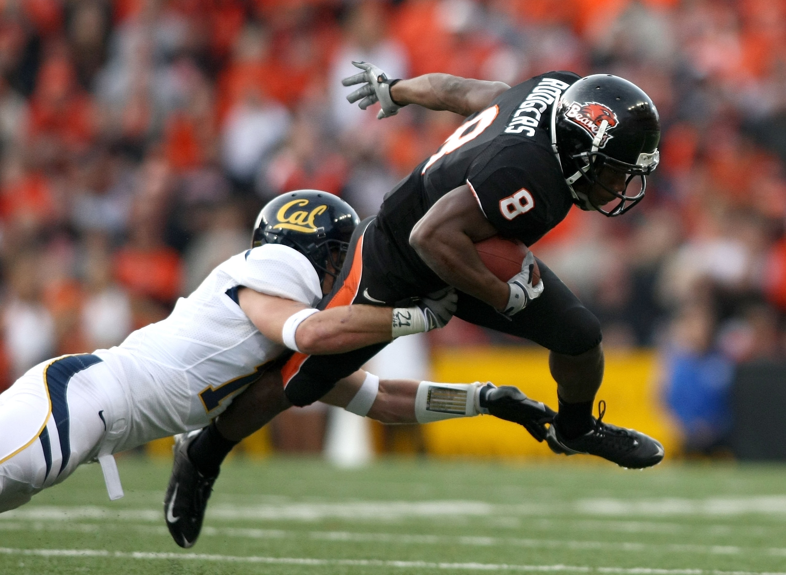 CORVALLIS, OR - NOVEMBER 15:  James Rodgers #8 of the Oregon State Beavers runs with the ball against Chris Conte #17 of the California Golden Bears at Reser Stadium on November 15, 2008 in Corvalis, Oregon.  (Photo by Jonathan Ferrey/Getty Images)