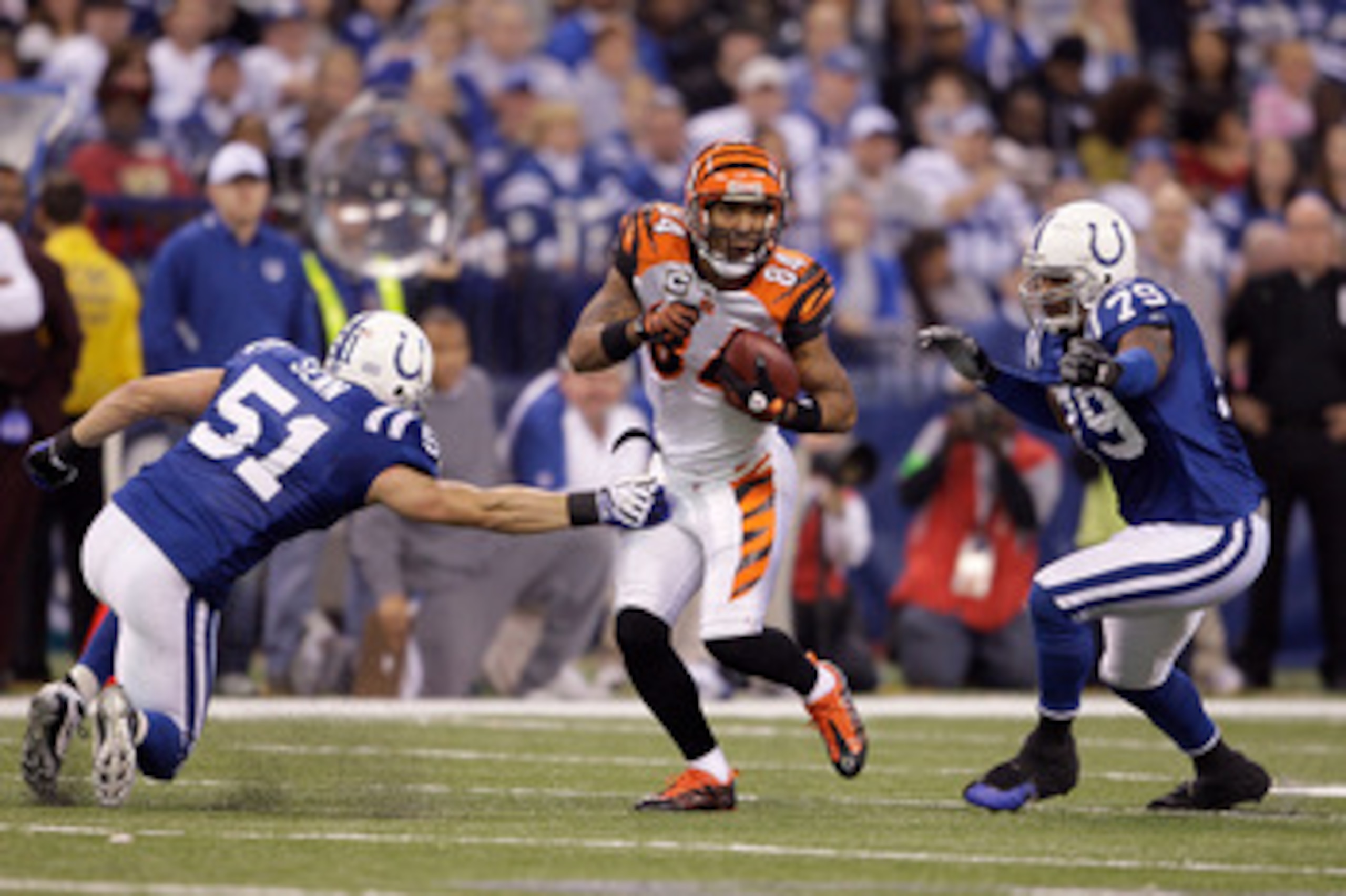INDIANAPOLIS - DECEMBER 07:  T.J. Houshmanzadeh #84 of the Cincinnati Bengals runs for yards after the catch against Jordan Senn #51 and Raheem Brock #79 of the Indianapolis Colts at Lucas Oil Stadium on December 7, 2008 in Indianapolis, Indiana.  (Photo 
