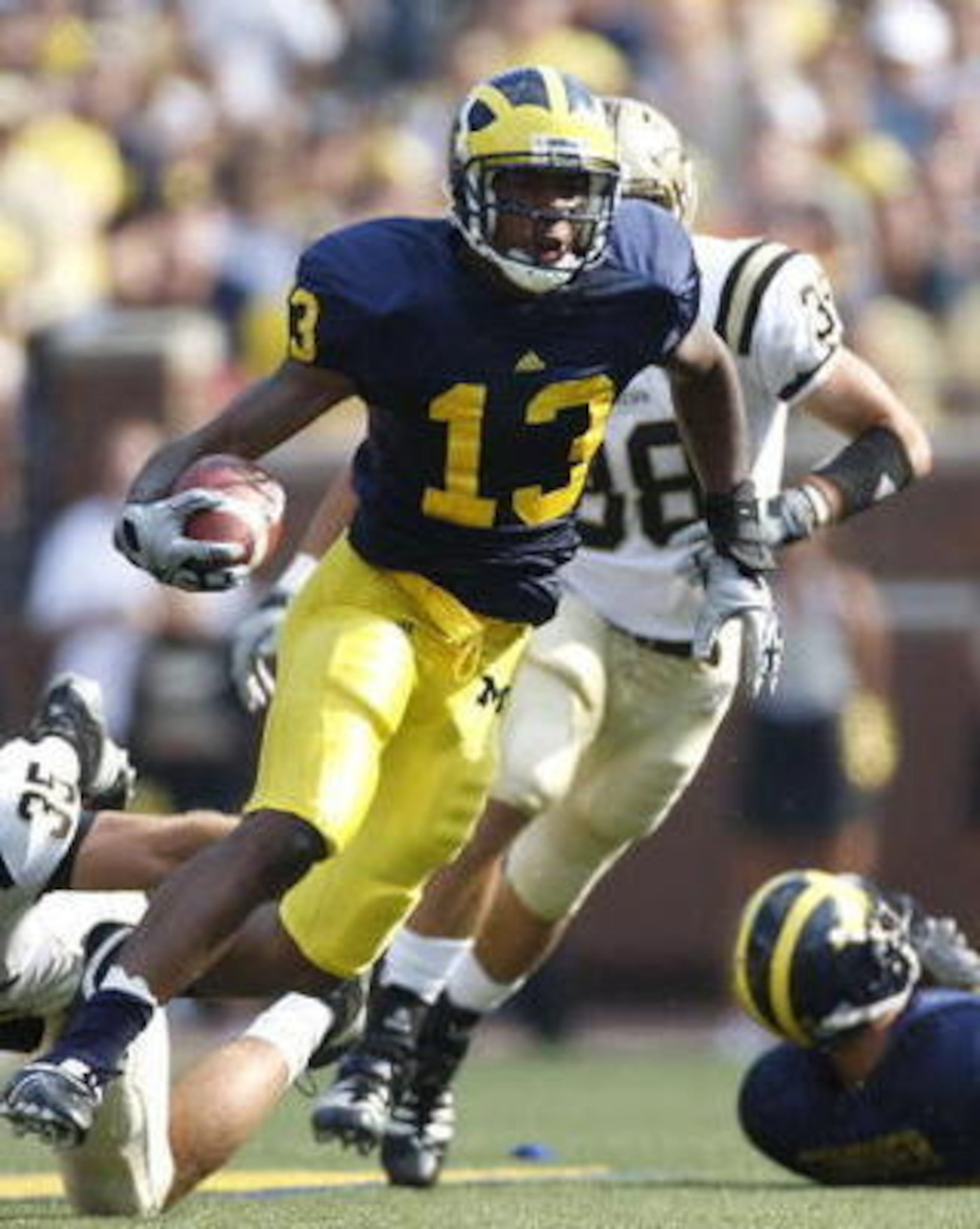 Greg Matthews