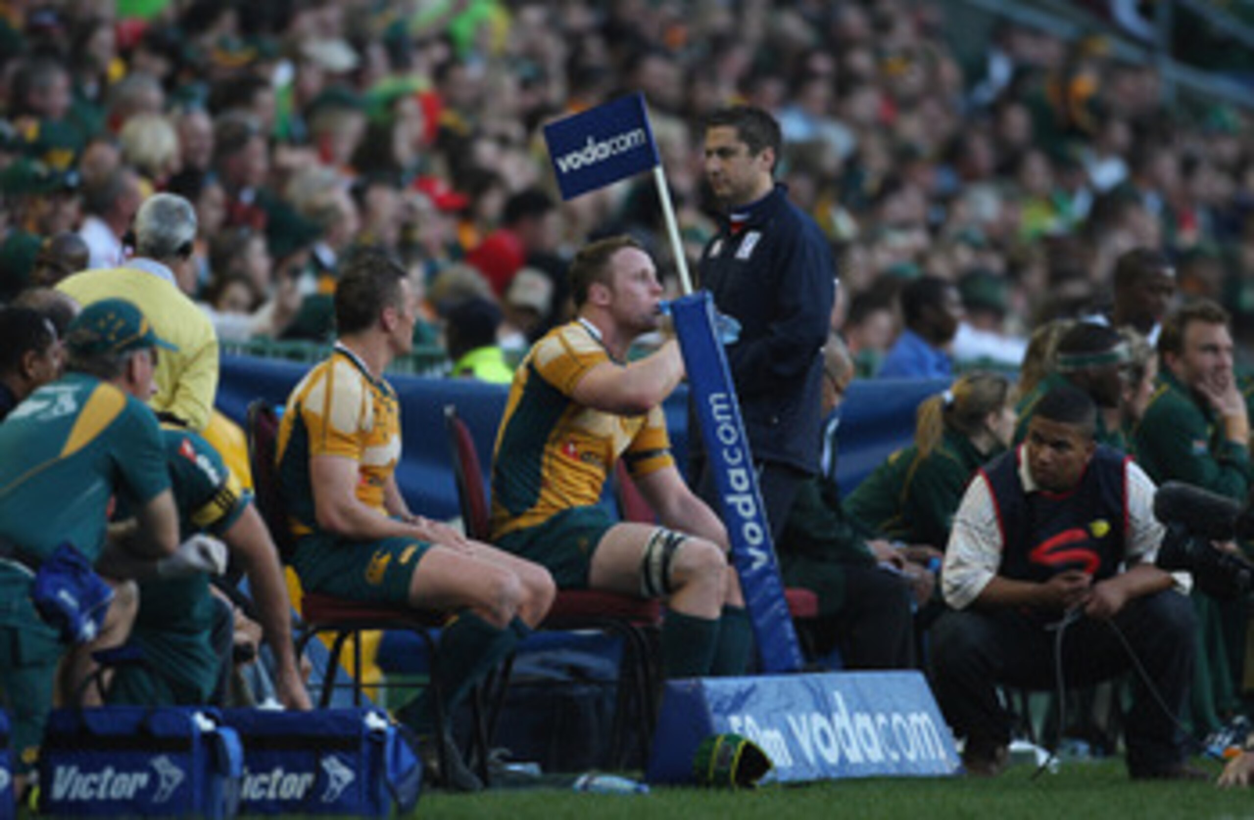 CAPE TOWN, SOUTH AFRICA - AUGUST 08: Matt Giteau (L) and Richard Brown of the Wallabies sit on the sin bin bench during the Tri Nations match between the South Africa Springboks and the Australia Wallabies at Newlands Stadium on August 8, 2009 in Cape To CAPE TOWN, SOUTH AFRICA - AUGUST 08: Matt Giteau (L) and Richard Brown of the Wallabies sit on the sin bin bench during the Tri Nations match between the South Africa Springboks and the Australia Wallabies at Newlands Stadium on August 8, 2009 in Cape To