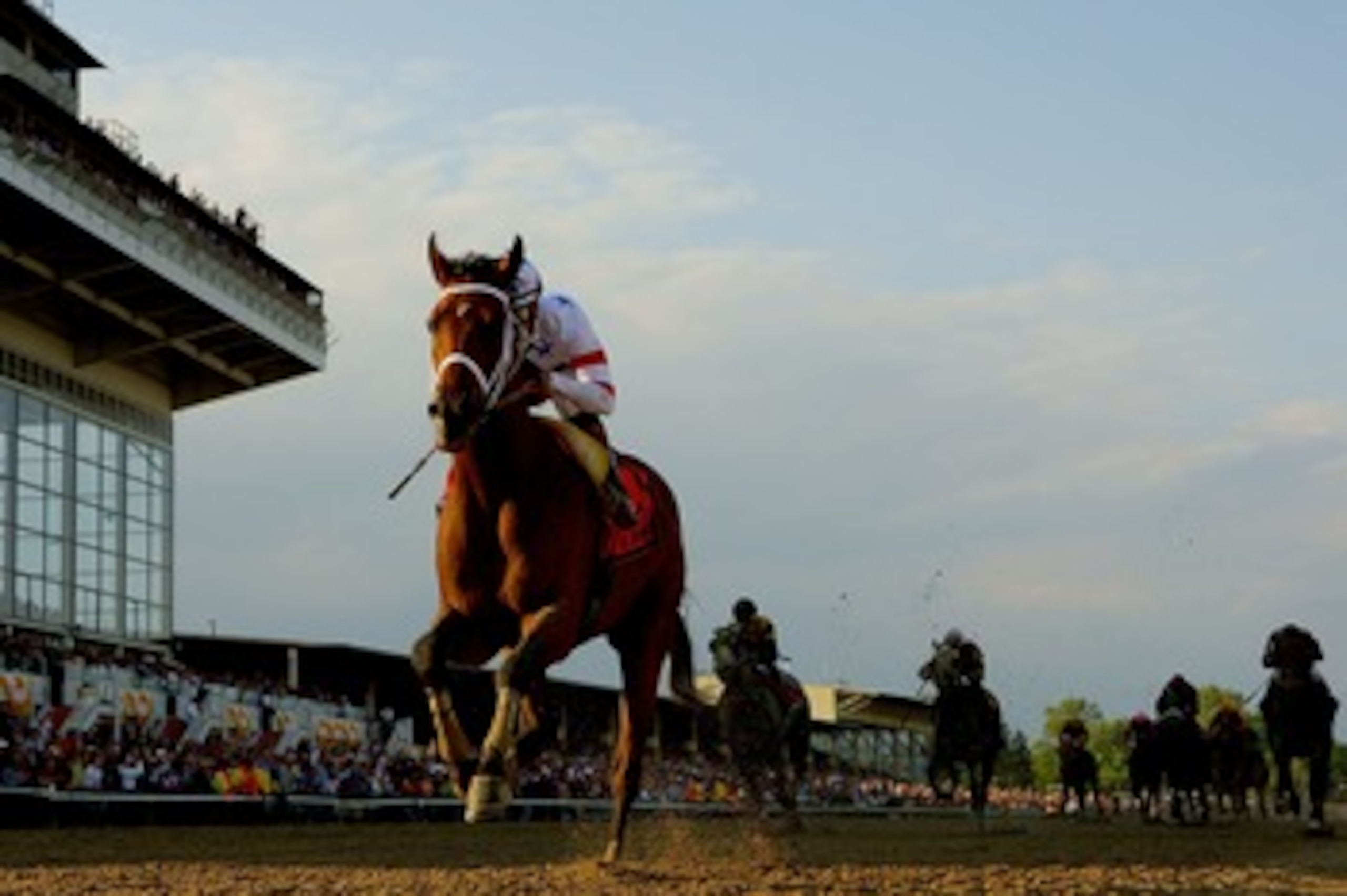 BALTIMORE - MAY 17:  Big Brown, ridden by Kent Desormeaux, crosses the finish line to win the 133rd Preakness Stakes at Pimlico Race Course May 17, 2008 in Baltimore, Maryland.  (Photo by Matthew Stockman/Getty Images)