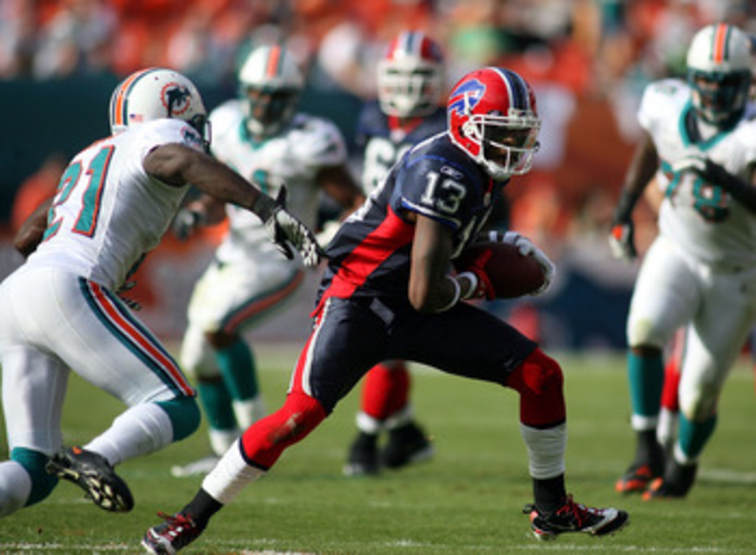 MIAMI - DECEMBER 19:  Receiver Steve Johnson #13 of the Buffalo Bills catches a pass  against the Miami Dolphins at Sun Life Stadium on December 19, 2010 in Miami, Florida.The Bills defeated the Dolphins 17-14.  (Photo by Marc Serota/Getty Images)