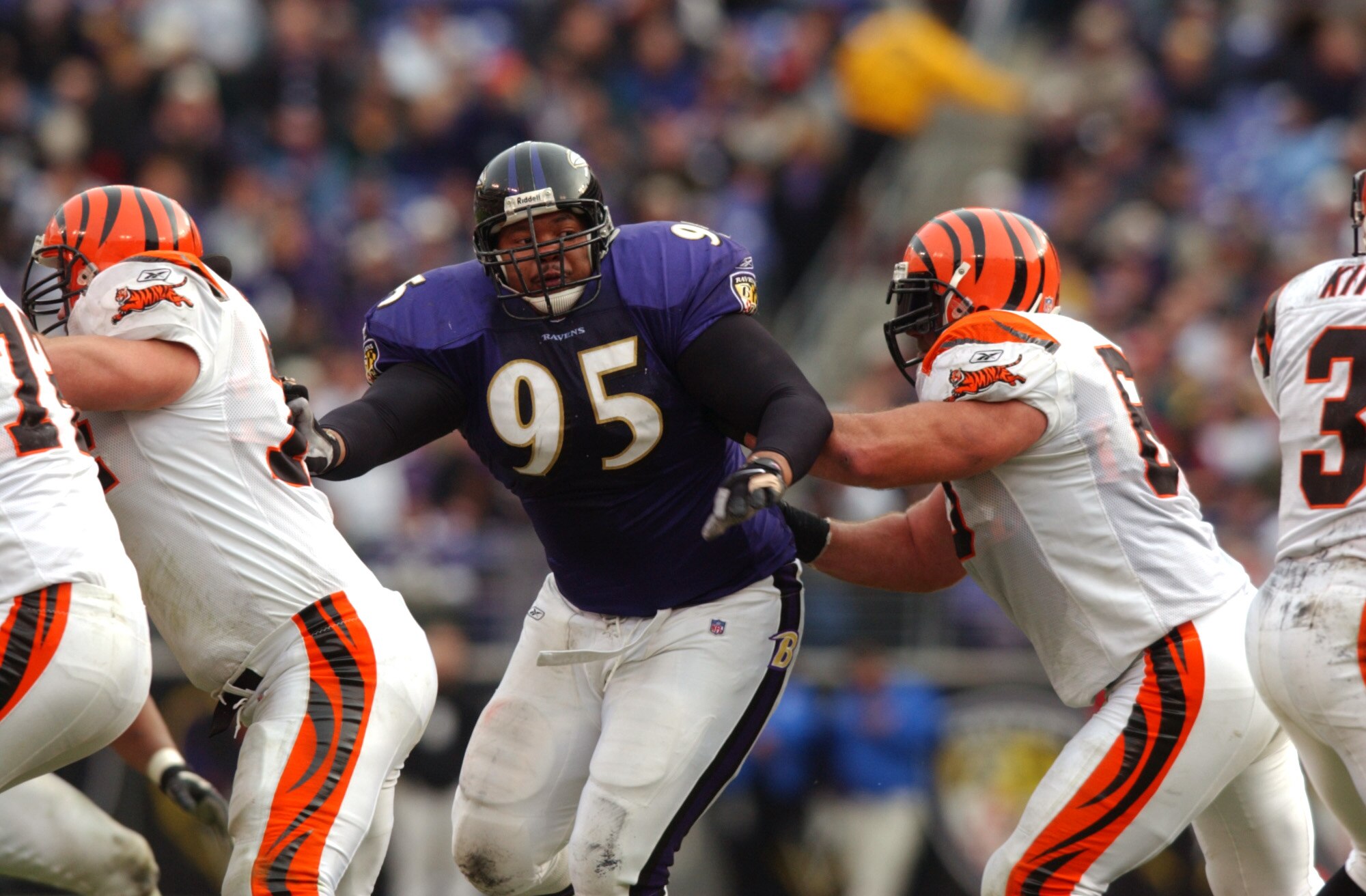 23 Dec 2001: Sam Adams #95 of the Baltimore Ravens figts off the defense of the Cincinnati Bengals during the game at PSINet Stadium in Baltimore, Maryland. The Ravens won 16-0. DIGITAL IMAGE. Mandatory Credit: Doug Pensinger/Getty Images
