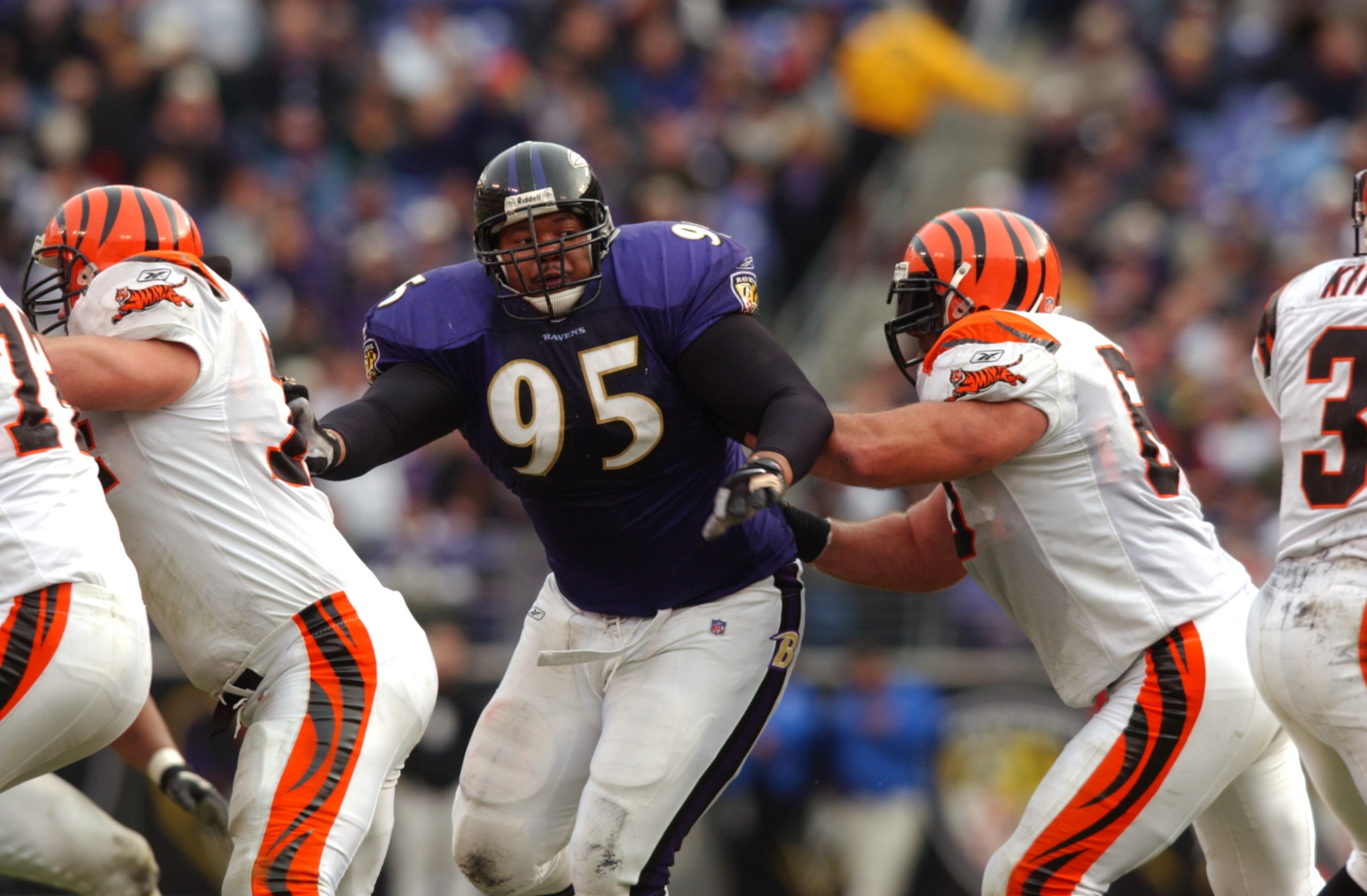 23 Dec 2001: Sam Adams #95 of the Baltimore Ravens figts off the defense of the Cincinnati Bengals during the game at PSINet Stadium in Baltimore, Maryland. The Ravens won 16-0. DIGITAL IMAGE. Mandatory Credit: Doug Pensinger/Getty Images