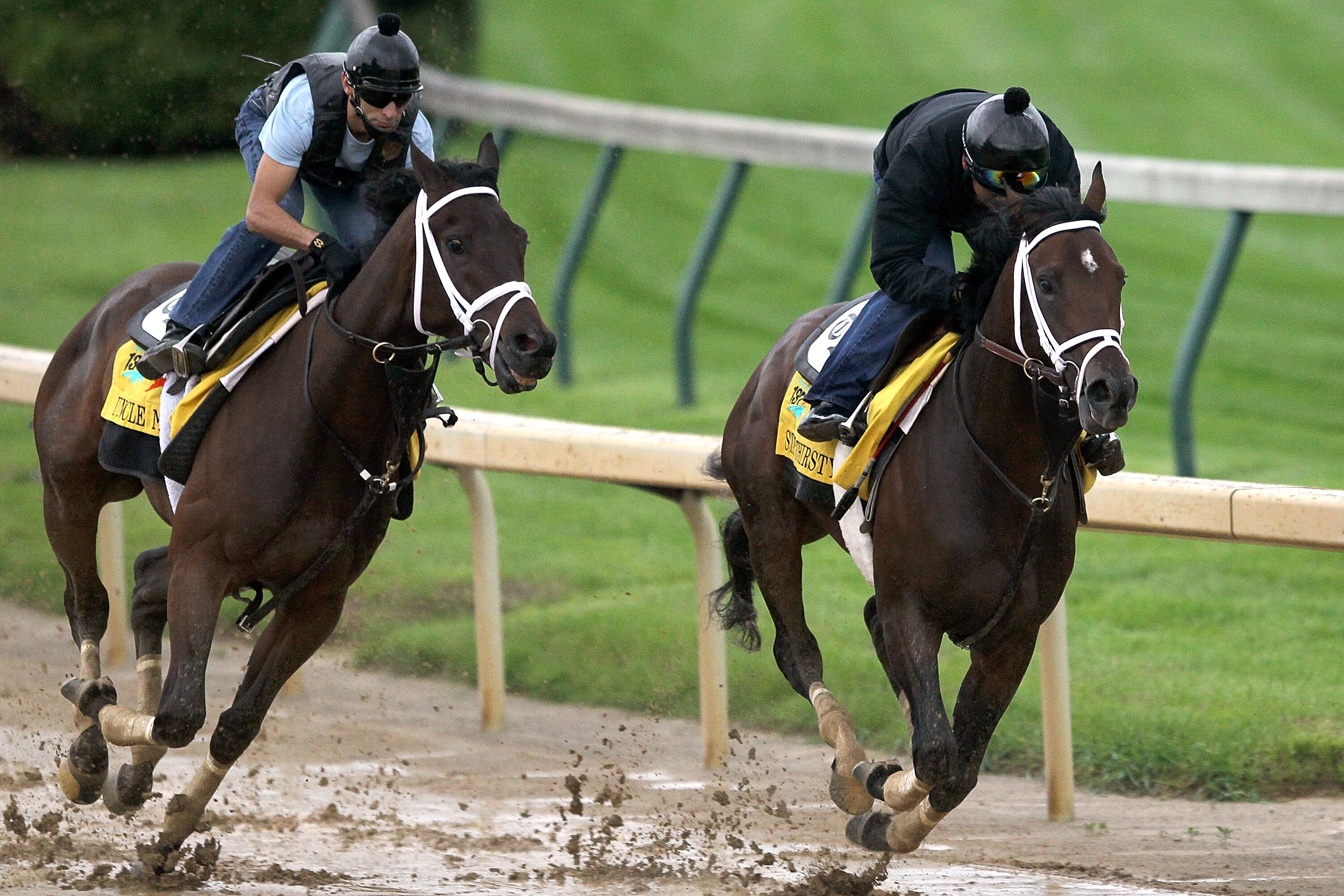 LOUISVILLE, KY - MAY 01:  Uncle Mo works out along side Stay Thirsty during the morning exercise session in preparation for the 137th Kentucky Derby at Churchill Downs on May 1, 2011 in Louisville, Kentucky.  (Photo by Matthew Stockman/Getty Images)