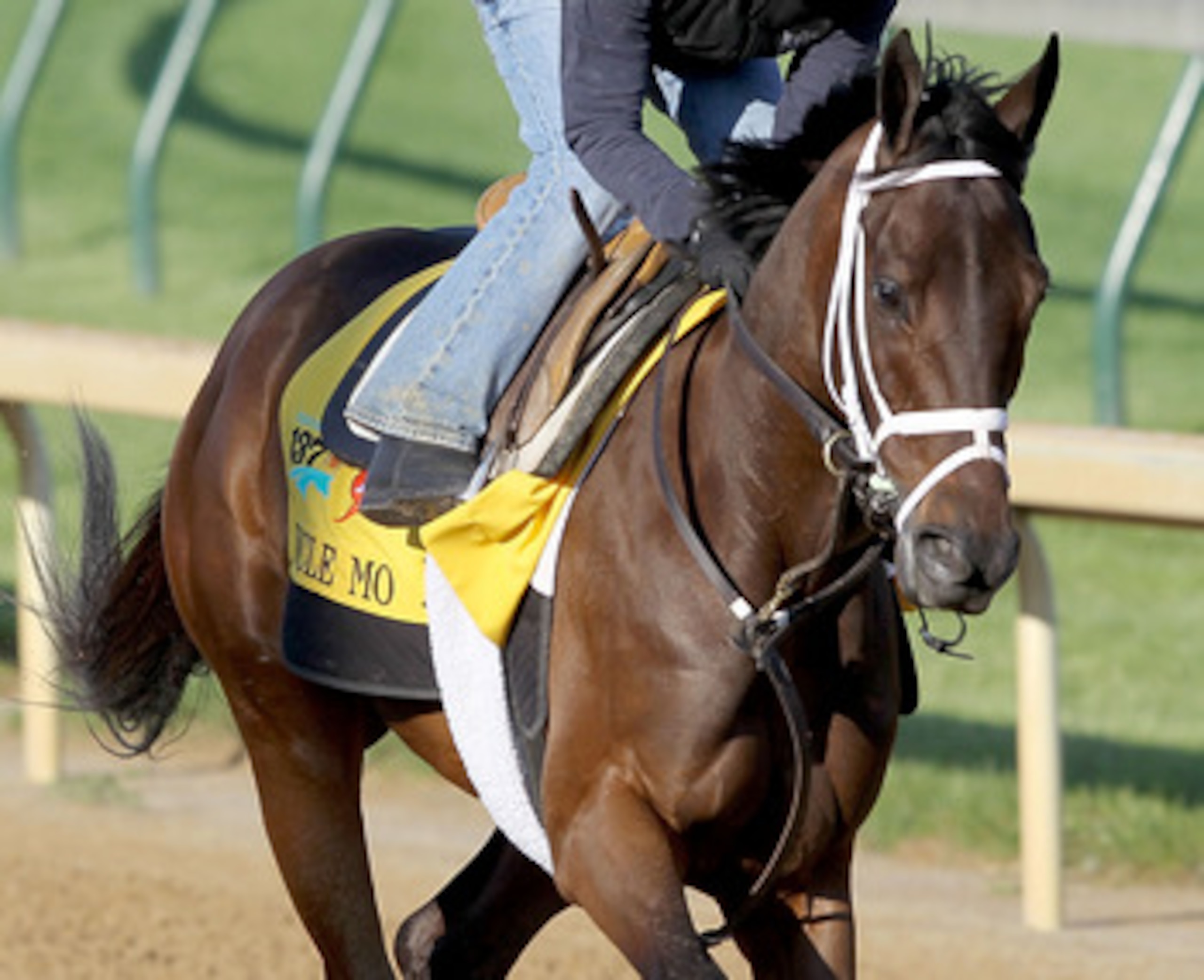 LOUISVILLE, KY - APRIL 29: Uncle Mo runs during the morning exercise session in preparation for the 137th Kentucky Derby at Churchill Downs on April 29, 2011 in Louisville, Kentucky. (Photo by Matthew Stockman/Getty Images) LOUISVILLE, KY - APRIL 29: Uncle Mo runs during the morning exercise session in preparation for the 137th Kentucky Derby at Churchill Downs on April 29, 2011 in Louisville, Kentucky. (Photo by Matthew Stockman/Getty Images)