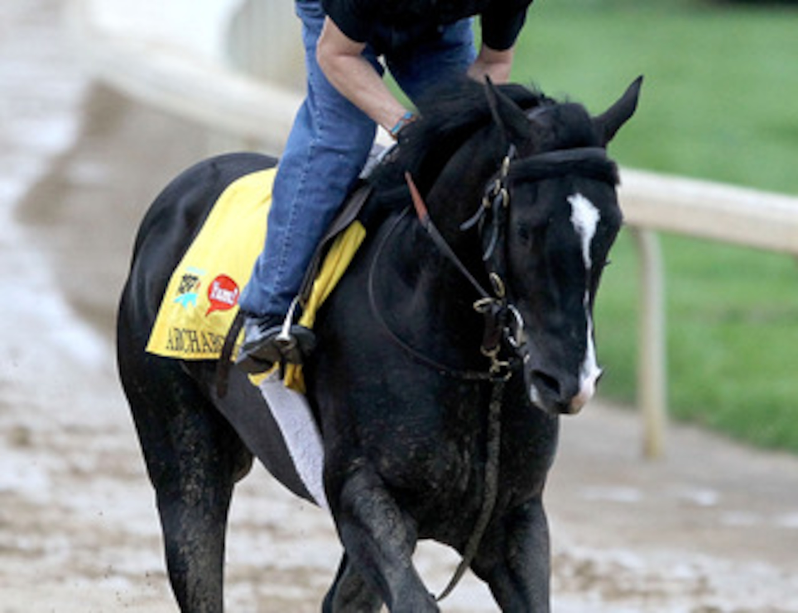 LOUISVILLE, KY - MAY 01: ArchArchArch works out during the morning exercise session in preparation for the 137th Kentucky Derby at Churchill Downs on May 1, 2011 in Louisville, Kentucky. (Photo by Matthew Stockman/Getty Images) LOUISVILLE, KY - MAY 01: ArchArchArch works out during the morning exercise session in preparation for the 137th Kentucky Derby at Churchill Downs on May 1, 2011 in Louisville, Kentucky. (Photo by Matthew Stockman/Getty Images)
