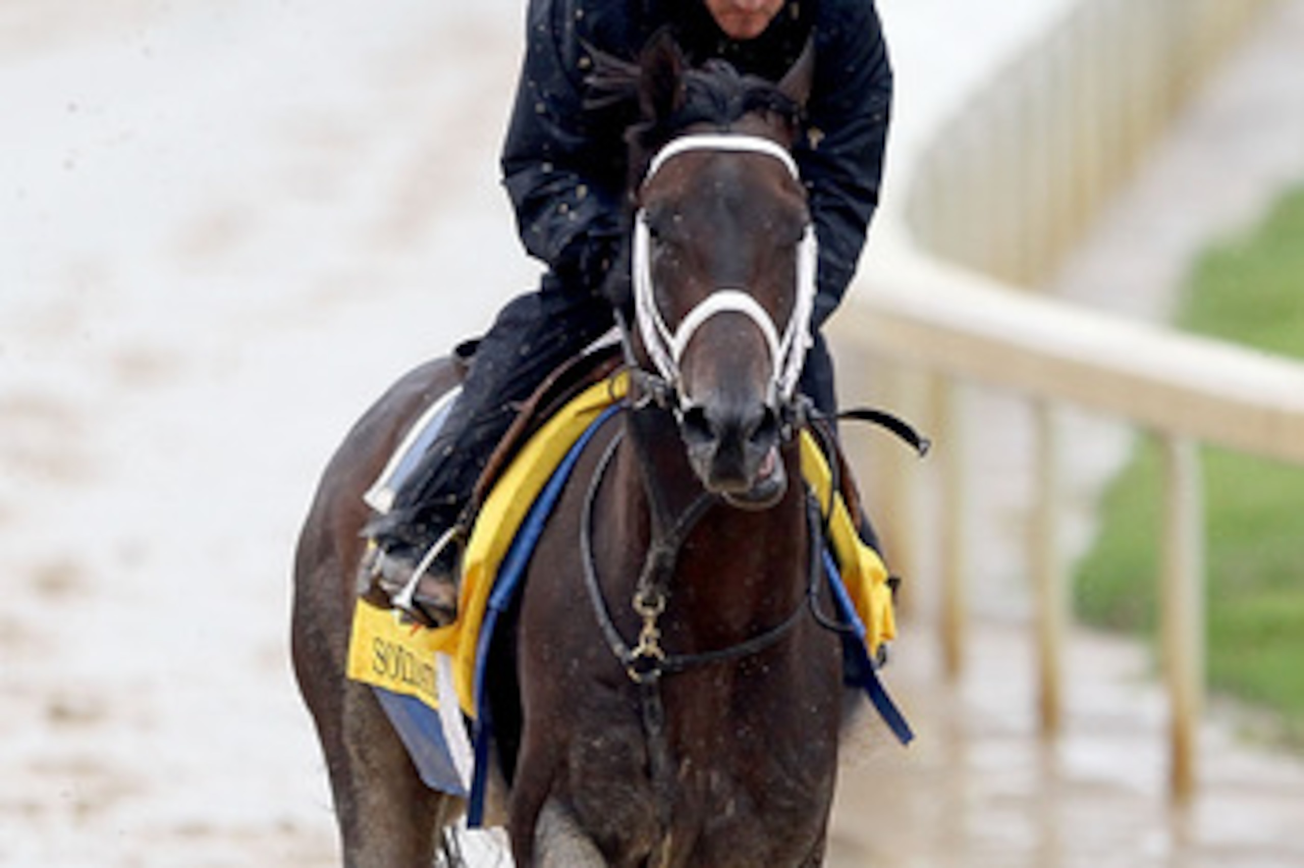 LOUISVILLE, KY - MAY 02: Soldat (R) runs during the morning exercise session in preparation for the 137th Kentucky Derby at Churchill Downs on May 2, 2011 in Louisville, Kentucky. (Photo by Matthew Stockman/Getty Images) LOUISVILLE, KY - MAY 02: Soldat (R) runs during the morning exercise session in preparation for the 137th Kentucky Derby at Churchill Downs on May 2, 2011 in Louisville, Kentucky. (Photo by Matthew Stockman/Getty Images)