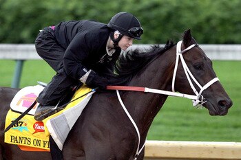 LOUISVILLE, KY - MAY 01: Pants On Fire works out during the morning exercise session in preparation for the 137th Kentucky Derby at Churchill Downs on May 1, 2011 in Louisville, Kentucky.  (Photo by Matthew Stockman/Getty Images)