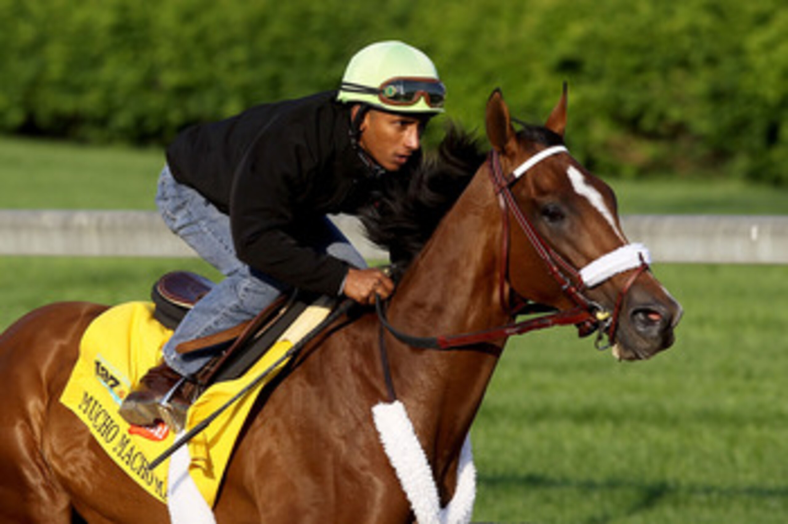 LOUISVILLE, KY - APRIL 30: Mucho Macho Man runs during the morning exercise session in preparation for the 137th Kentucky Derby at Churchill Downs on April 30, 2011 in Louisville, Kentucky. (Photo by Matthew Stockman/Getty Images) LOUISVILLE, KY - APRIL 30: Mucho Macho Man runs during the morning exercise session in preparation for the 137th Kentucky Derby at Churchill Downs on April 30, 2011 in Louisville, Kentucky. (Photo by Matthew Stockman/Getty Images)
