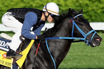 LOUISVILLE, KY - APRIL 29:  Decisive Moment runs during the morning exercise session in preparation for the 137th Kentucky Derby at Churchill Downs on April 29, 2011 in Louisville, Kentucky.  (Photo by Matthew Stockman/Getty Images)