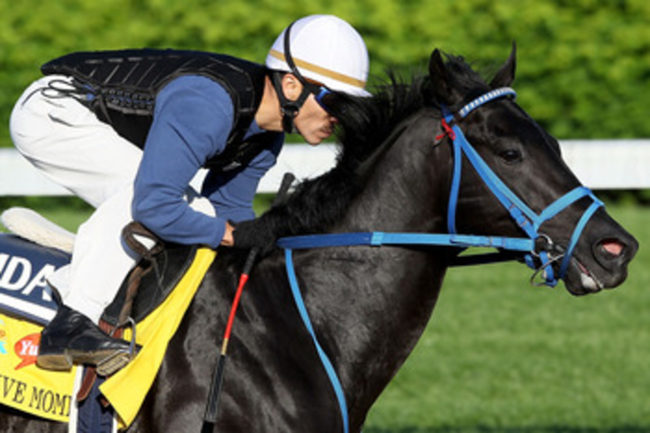 LOUISVILLE, KY - APRIL 29: Decisive Moment runs during the morning exercise session in preparation for the 137th Kentucky Derby at Churchill Downs on April 29, 2011 in Louisville, Kentucky. (Photo by Matthew Stockman/Getty Images) LOUISVILLE, KY - APRIL 29: Decisive Moment runs during the morning exercise session in preparation for the 137th Kentucky Derby at Churchill Downs on April 29, 2011 in Louisville, Kentucky. (Photo by Matthew Stockman/Getty Images)