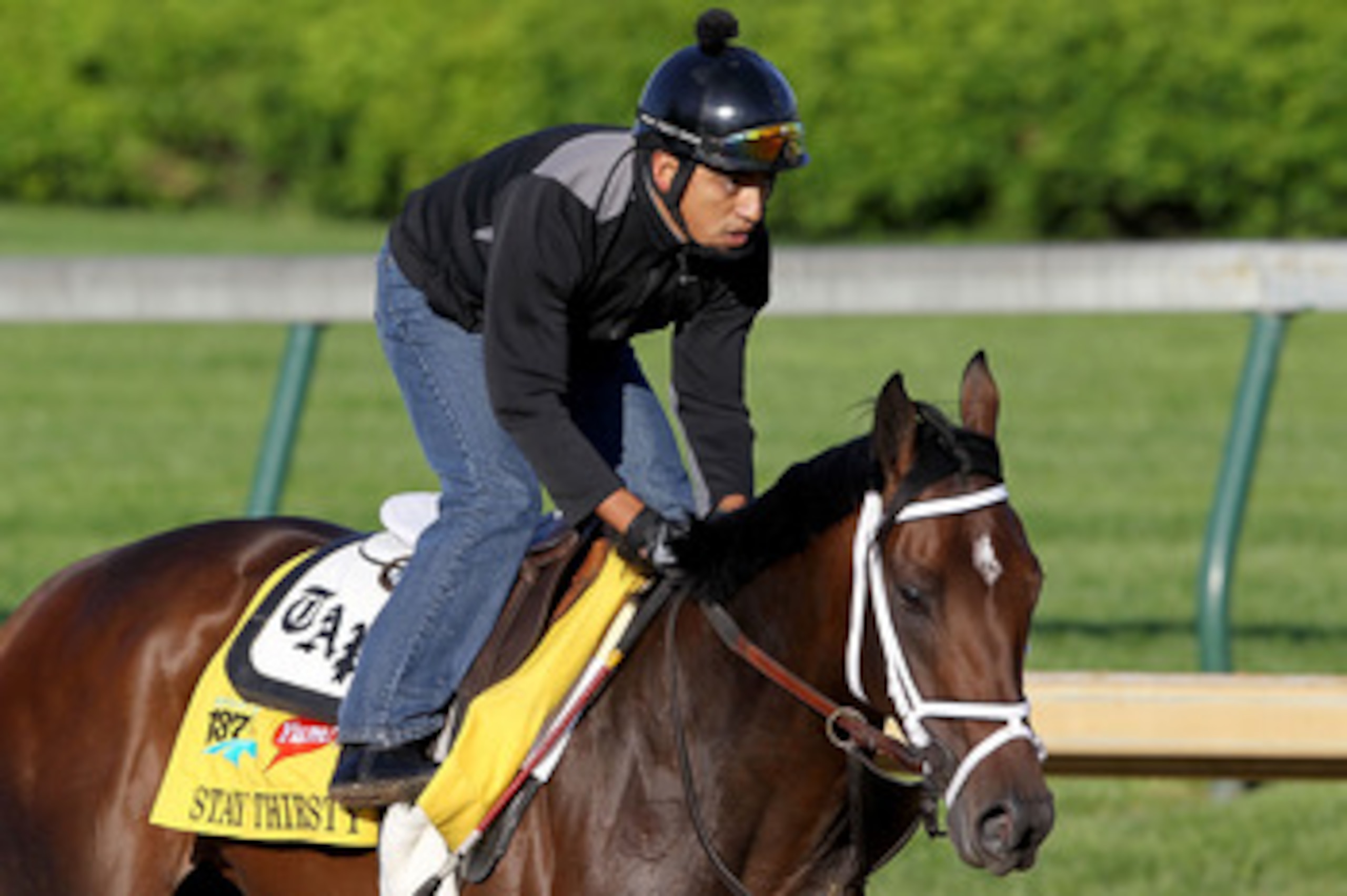 LOUISVILLE, KY - APRIL 29: Stay Thirsty runs during the morning exercise session in preparation for the 137th Kentucky Derby at Churchill Downs on April 29, 2011 in Louisville, Kentucky. (Photo by Matthew Stockman/Getty Images) LOUISVILLE, KY - APRIL 29: Stay Thirsty runs during the morning exercise session in preparation for the 137th Kentucky Derby at Churchill Downs on April 29, 2011 in Louisville, Kentucky. (Photo by Matthew Stockman/Getty Images)