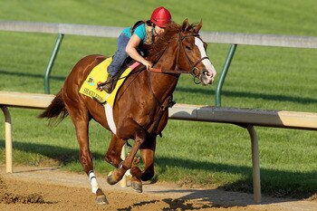 LOUISVILLE, KY - APRIL 30:  Shackleford runs during the morning exercise session in preparation for the 137th Kentucky Derby at Churchill Downs on April 30, 2011 in Louisville, Kentucky.  (Photo by Matthew Stockman/Getty Images)
