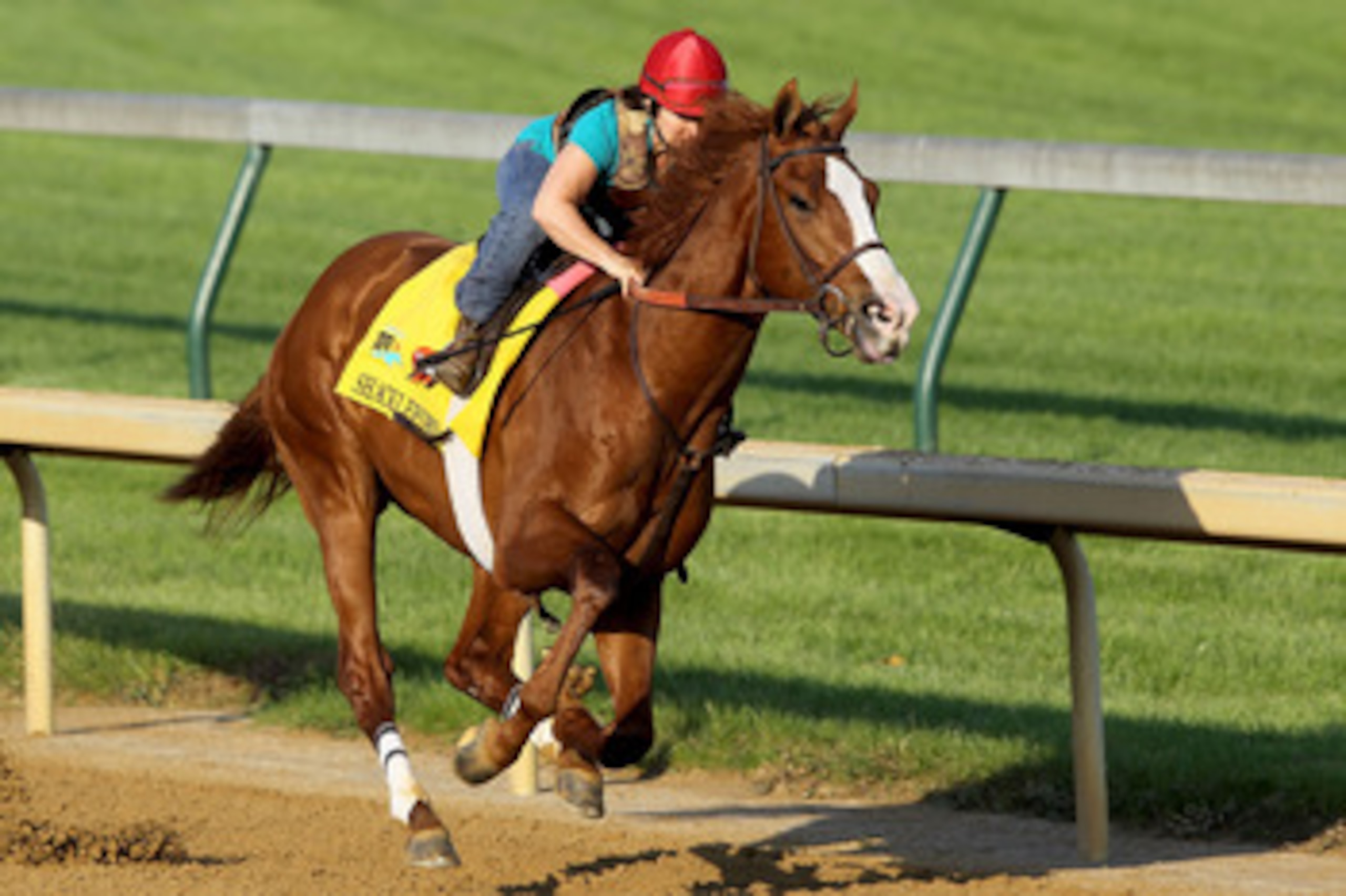 LOUISVILLE, KY - APRIL 30: Shackleford runs during the morning exercise session in preparation for the 137th Kentucky Derby at Churchill Downs on April 30, 2011 in Louisville, Kentucky. (Photo by Matthew Stockman/Getty Images) LOUISVILLE, KY - APRIL 30: Shackleford runs during the morning exercise session in preparation for the 137th Kentucky Derby at Churchill Downs on April 30, 2011 in Louisville, Kentucky. (Photo by Matthew Stockman/Getty Images)