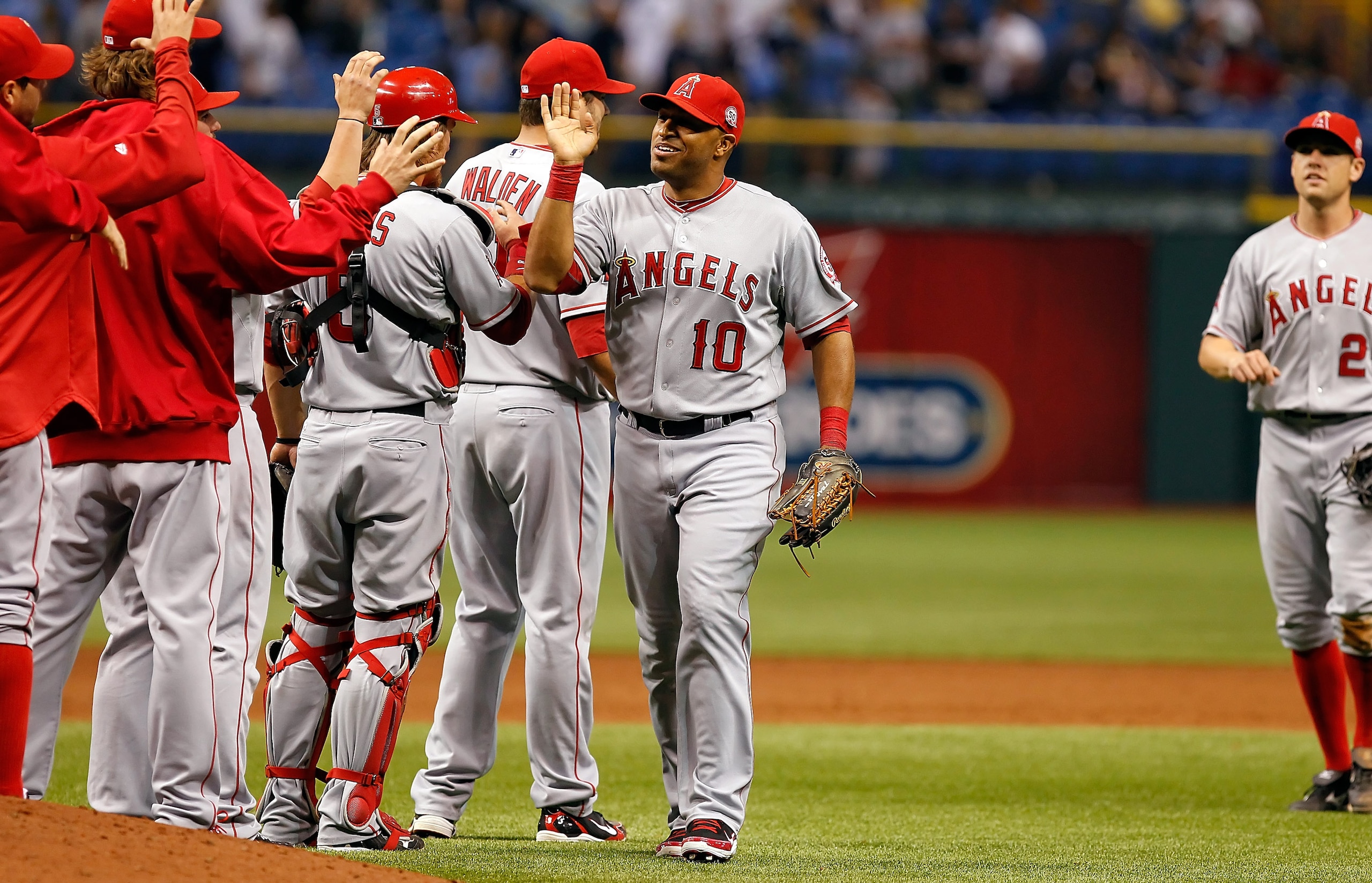 ST. PETERSBURG, FL - APRIL 29:  Outfielder Vernon Wells #10 of the Los Angeles Angels of Anaheim is congratulated by his teammates after their victory over the Tampa Bay Rays at Tropicana Field on April 29, 2011 in St. Petersburg, Florida.  (Photo by J. M