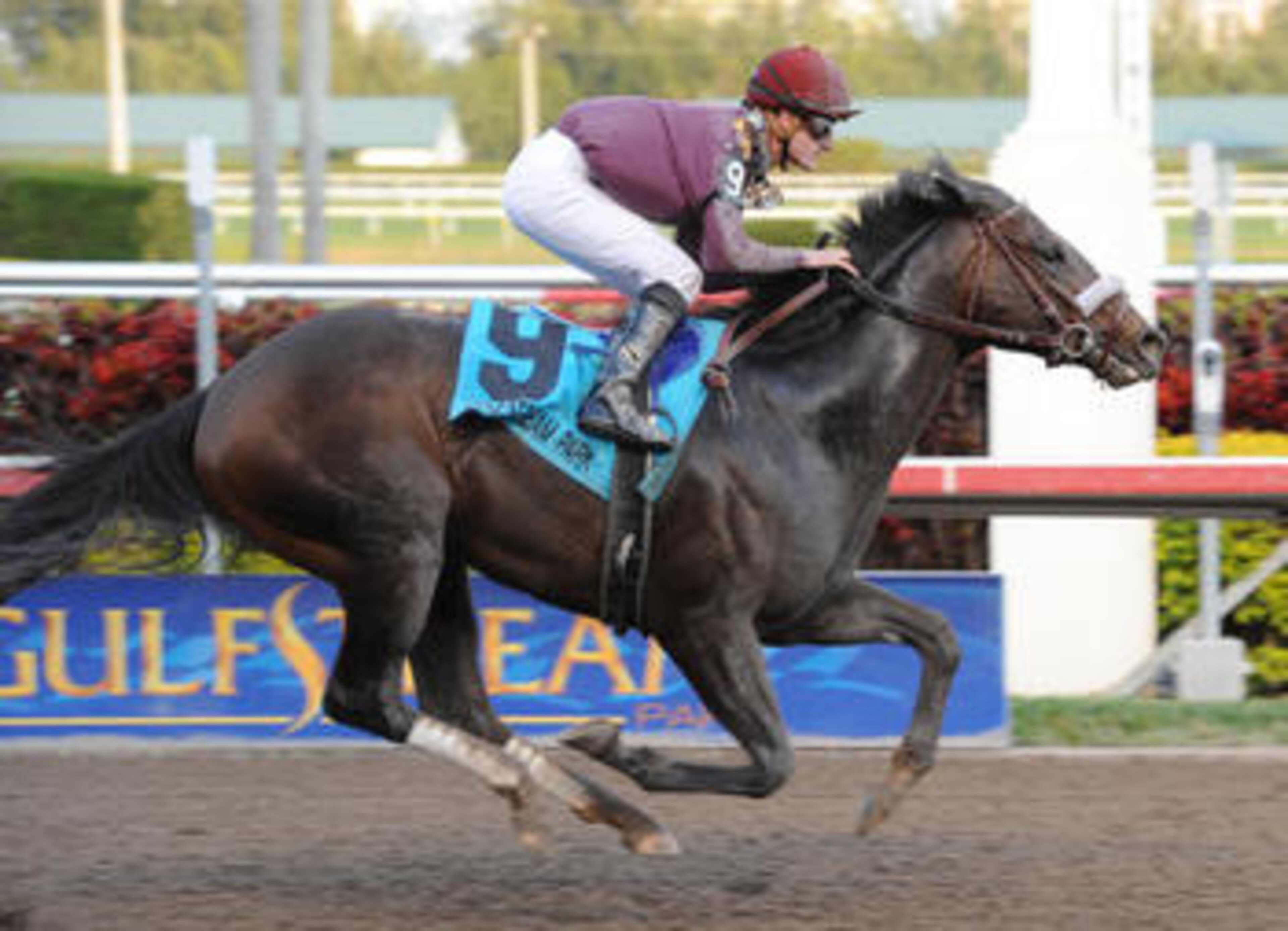 Photo credit: Adam Coglianese and Kentucky Derby website