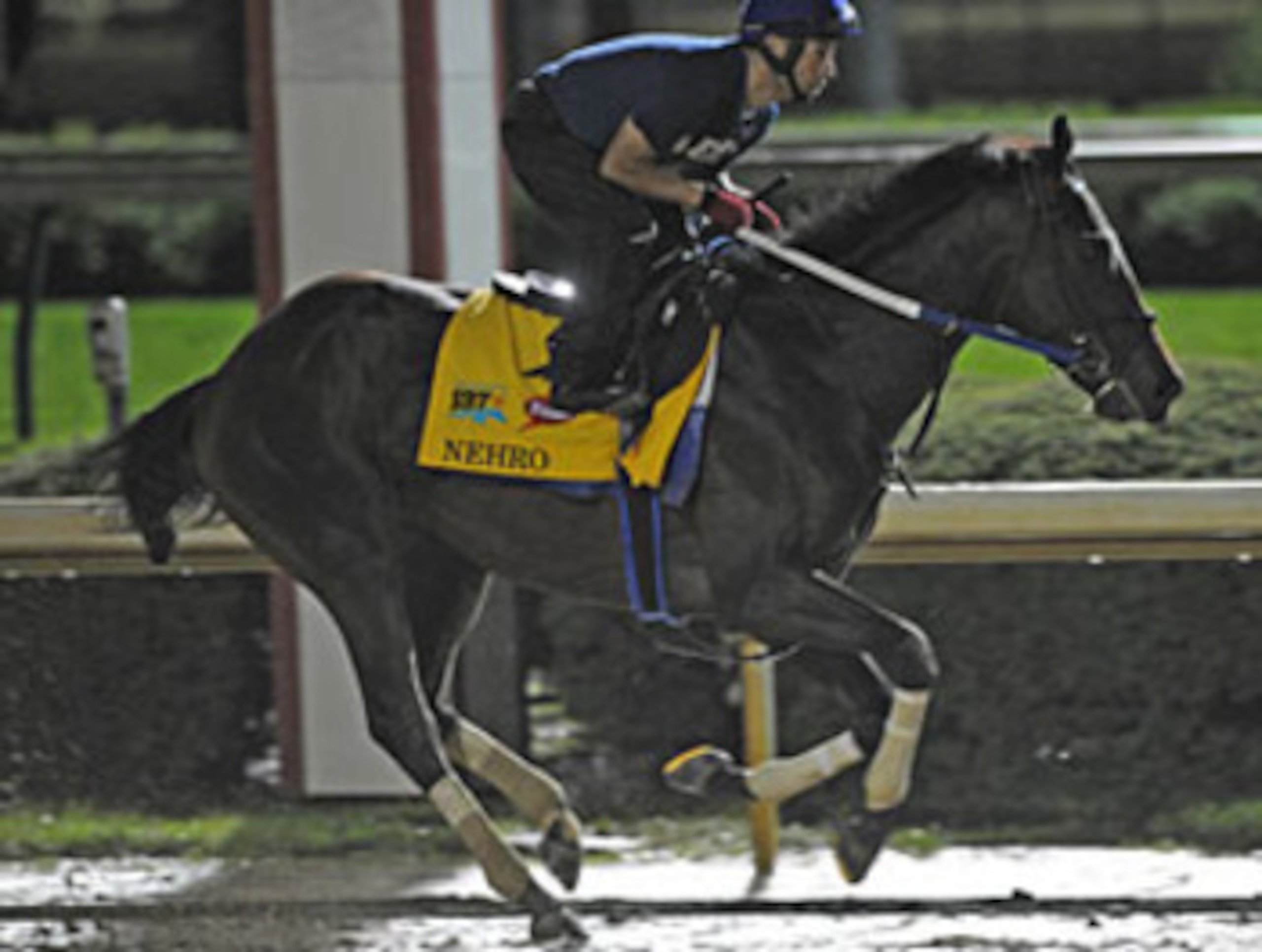 photo credit: Mathea Kelley and Bloodhorse.com photo credit: Mathea Kelley and Bloodhorse.com