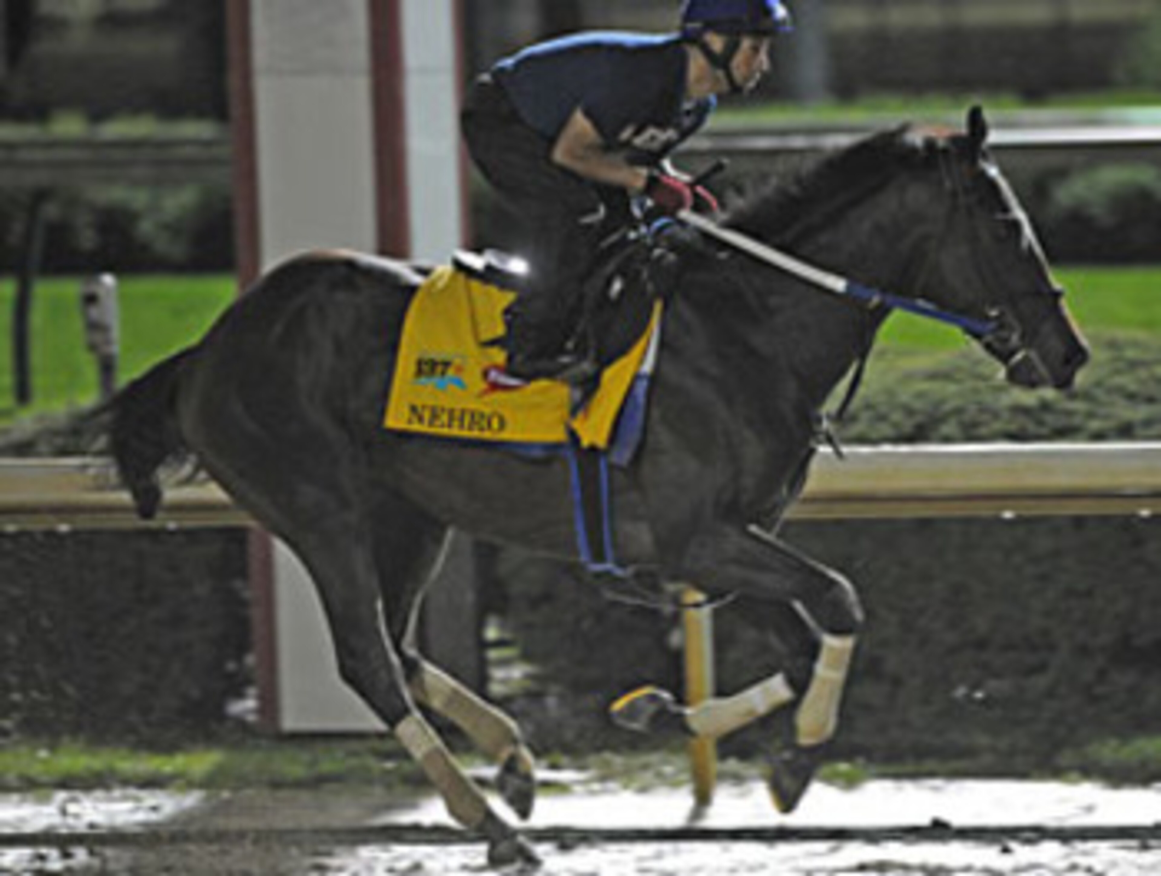 photo credit:  Mathea Kelley and Bloodhorse.com