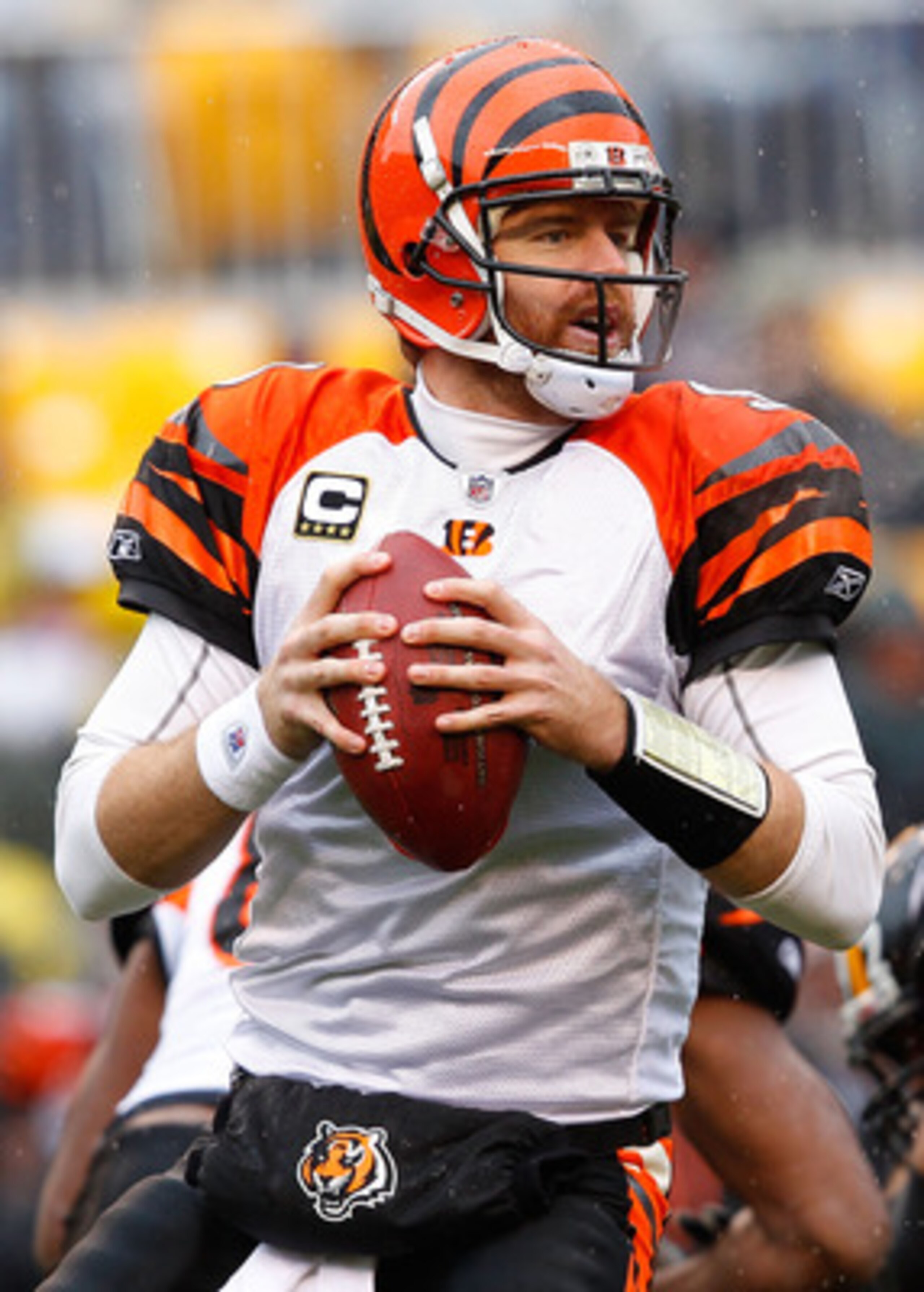 PITTSBURGH - DECEMBER 12:  Carson Palmer #9 of the Cincinnati Bengals drops back to pass against the Pittsburgh Steelers during the game on December 12, 2010 at Heinz Field in Pittsburgh, Pennsylvania.  (Photo by Jared Wickerham/Getty Images)