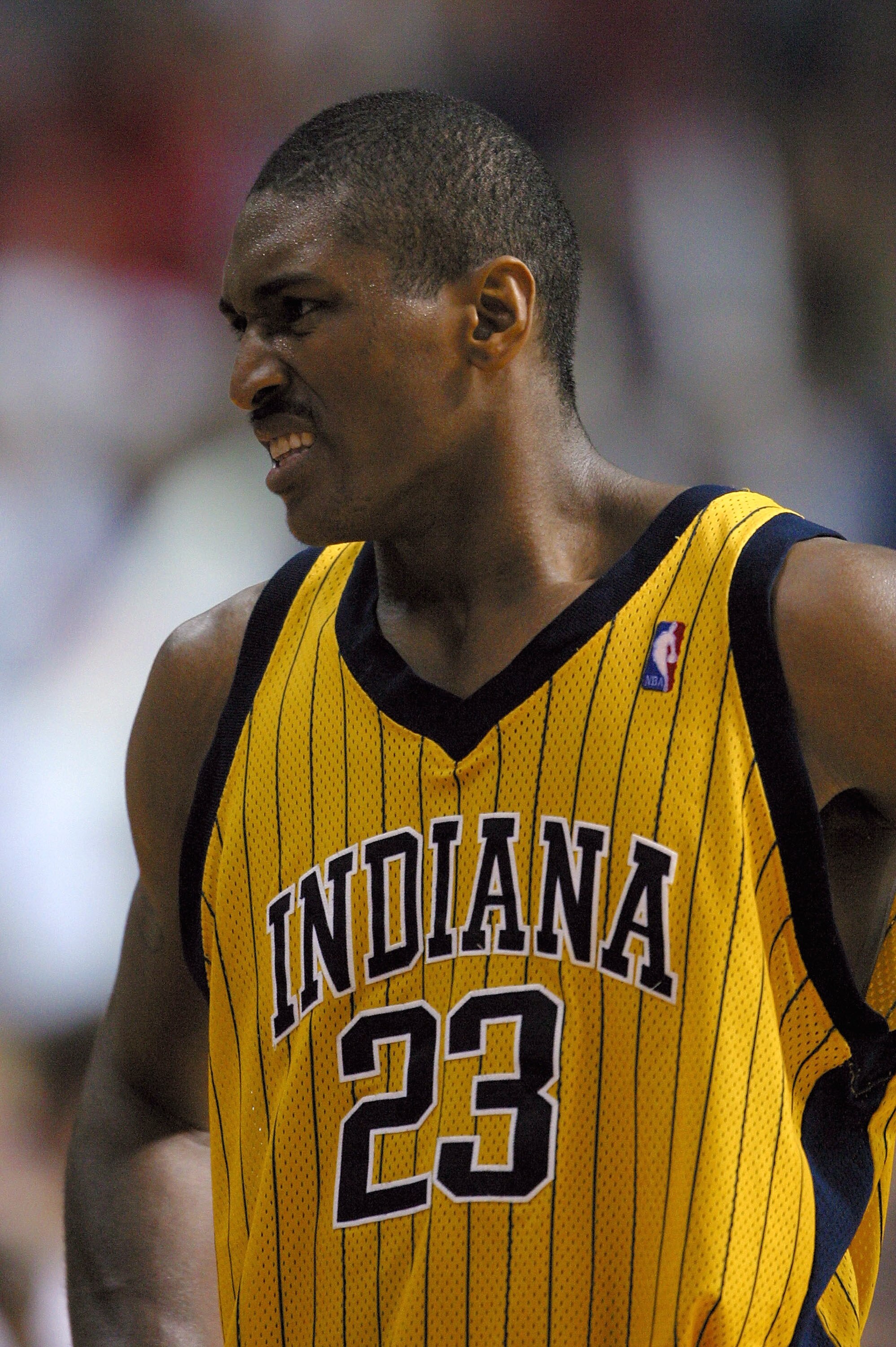 AUBURN HILLS, MI - JUNE 1:  Ron Artest #23 of the Indiana Pacers reacts after committing a flagrant foul on Richard Hamilton #32 of the Detroit Pistons in the final moments of Game six of the Eastern Conference Finals during the 2004 NBA Playoffs at The P