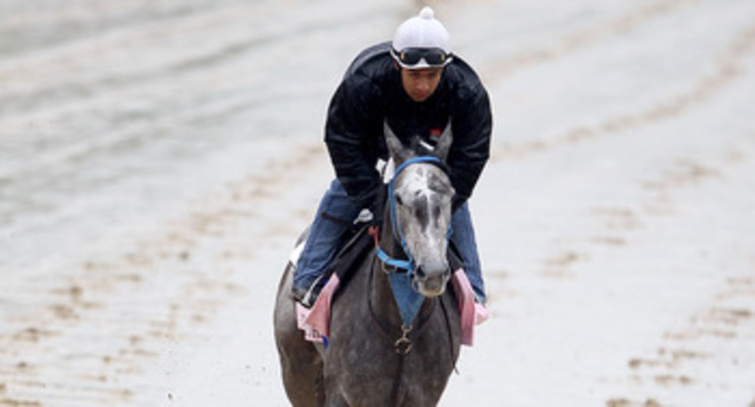 LOUISVILLE, KY - MAY 02: Street Storm runs during the morning exercise session in preparation for the 137th Kentucky Oaks at Churchill Downs on May 2, 2011 in Louisville, Kentucky.  (Photo by Matthew Stockman/Getty Images)