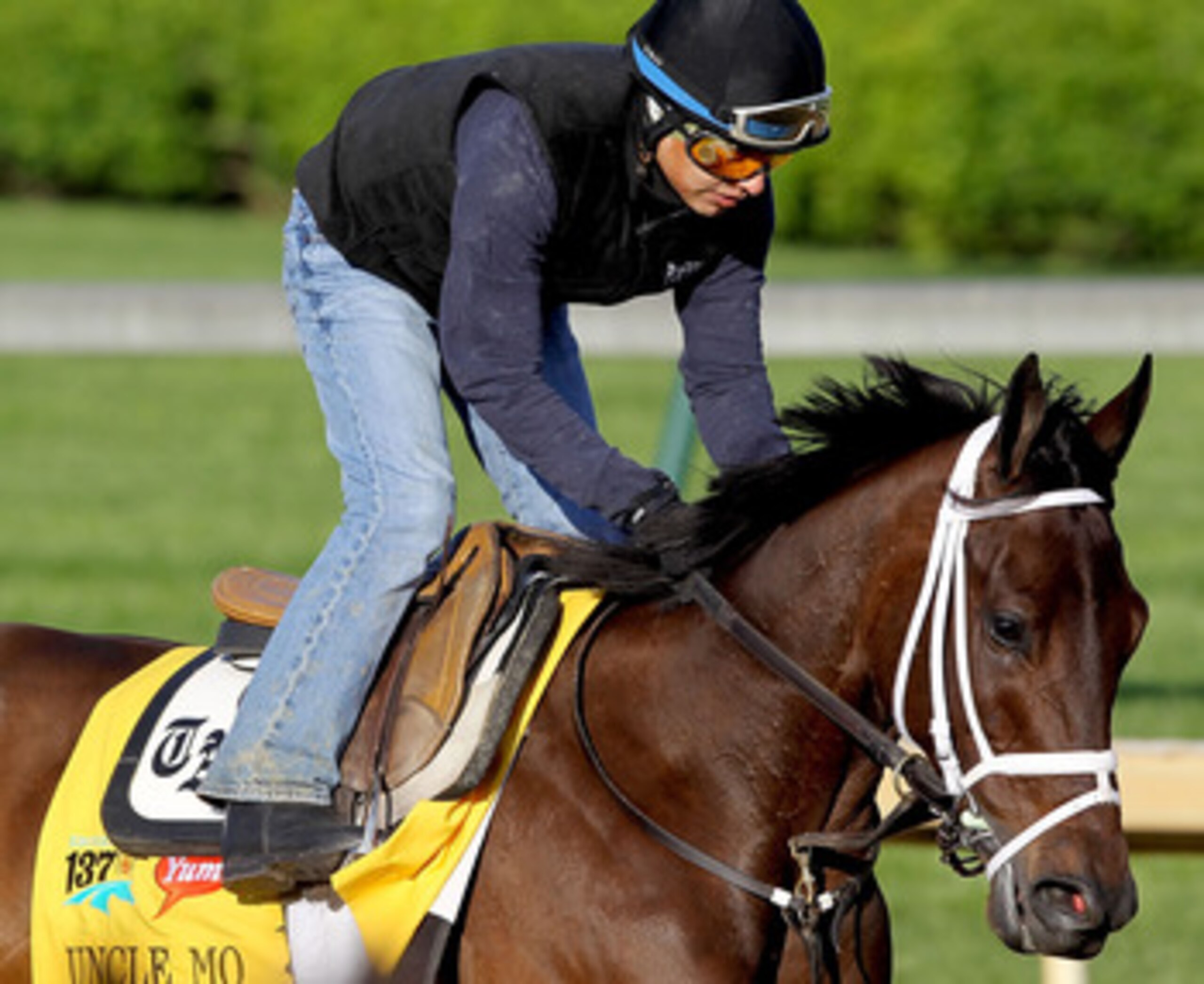LOUISVILLE, KY - APRIL 29:  Uncle Mo runs during the morning exercise session in preparation for the 137th Kentucky Derby at Churchill Downs on April 29, 2011 in Louisville, Kentucky.  (Photo by Matthew Stockman/Getty Images)