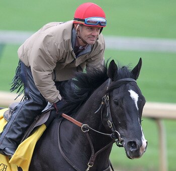 LOUISVILLE, KY - MAY 04:  ArchArchArch trains during the morning exercise runs session in preparation for the 137th Kentucky Derby at Churchill Downs on May 4, 2011 in Louisville, Kentucky.  (Photo by Matthew Stockman/Getty Images)