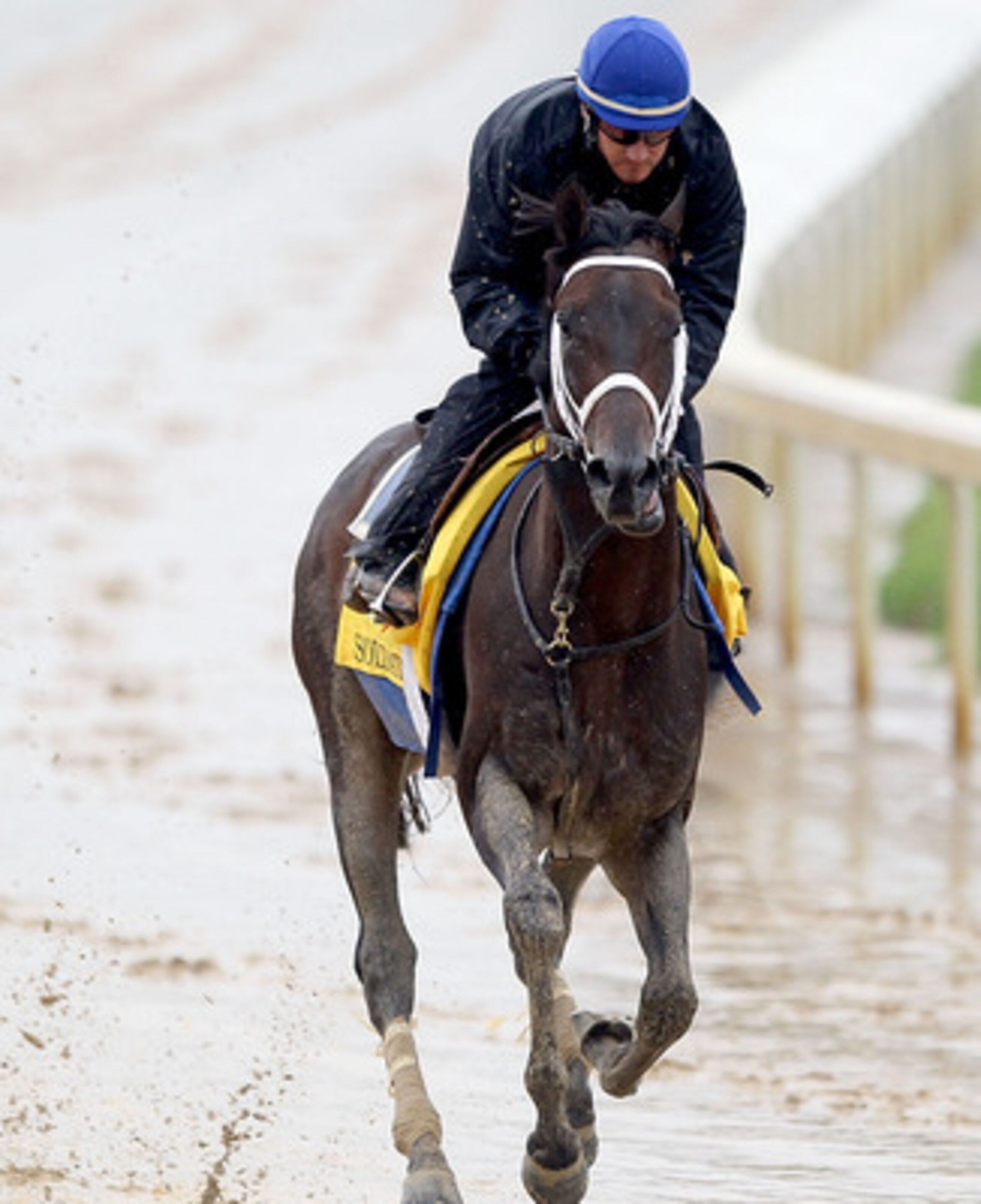 LOUISVILLE, KY - MAY 02:  Soldat (R) runs during the morning exercise session in preparation for the 137th Kentucky Derby at Churchill Downs on May 2, 2011 in Louisville, Kentucky.  (Photo by Matthew Stockman/Getty Images)