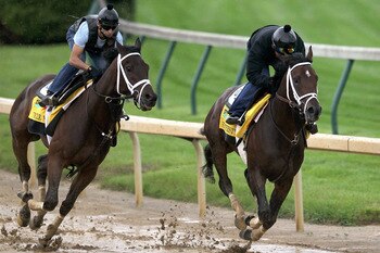LOUISVILLE, KY - MAY 01: Uncle Mo works out along side Stay Thirsty during the morning exercise session in preparation for the 137th Kentucky Derby at Churchill Downs on May 1, 2011 in Louisville, Kentucky. (Photo by Matthew Stockman/Getty Images) LOUISVILLE, KY - MAY 01: Uncle Mo works out along side Stay Thirsty during the morning exercise session in preparation for the 137th Kentucky Derby at Churchill Downs on May 1, 2011 in Louisville, Kentucky. (Photo by Matthew Stockman/Getty Images)