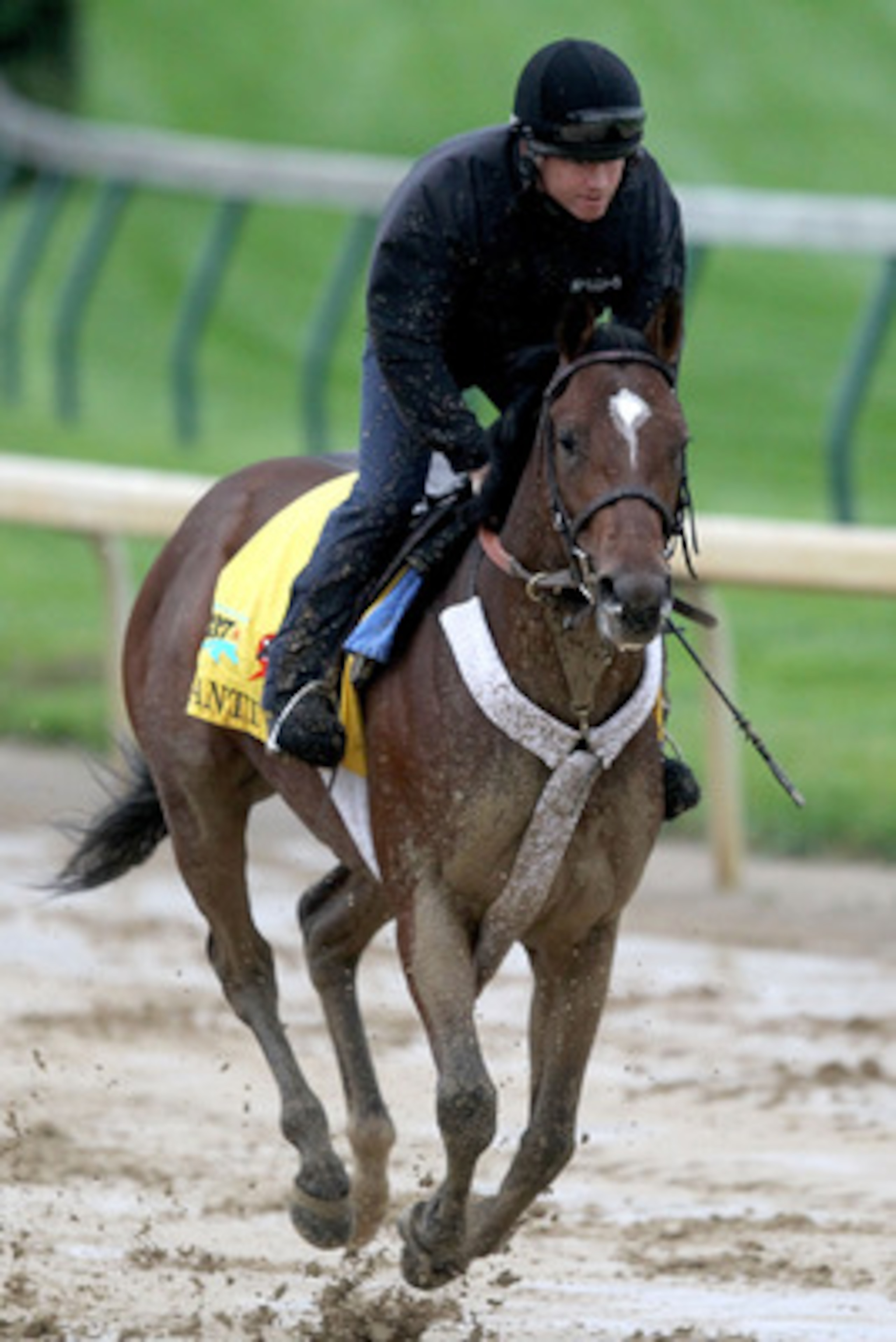 LOUISVILLE, KY - MAY 01: Santiva works out during the morning exercise session in preparation for the 137th Kentucky Derby at Churchill Downs on May 1, 2011 in Louisville, Kentucky. (Photo by Matthew Stockman/Getty Images) LOUISVILLE, KY - MAY 01: Santiva works out during the morning exercise session in preparation for the 137th Kentucky Derby at Churchill Downs on May 1, 2011 in Louisville, Kentucky. (Photo by Matthew Stockman/Getty Images)