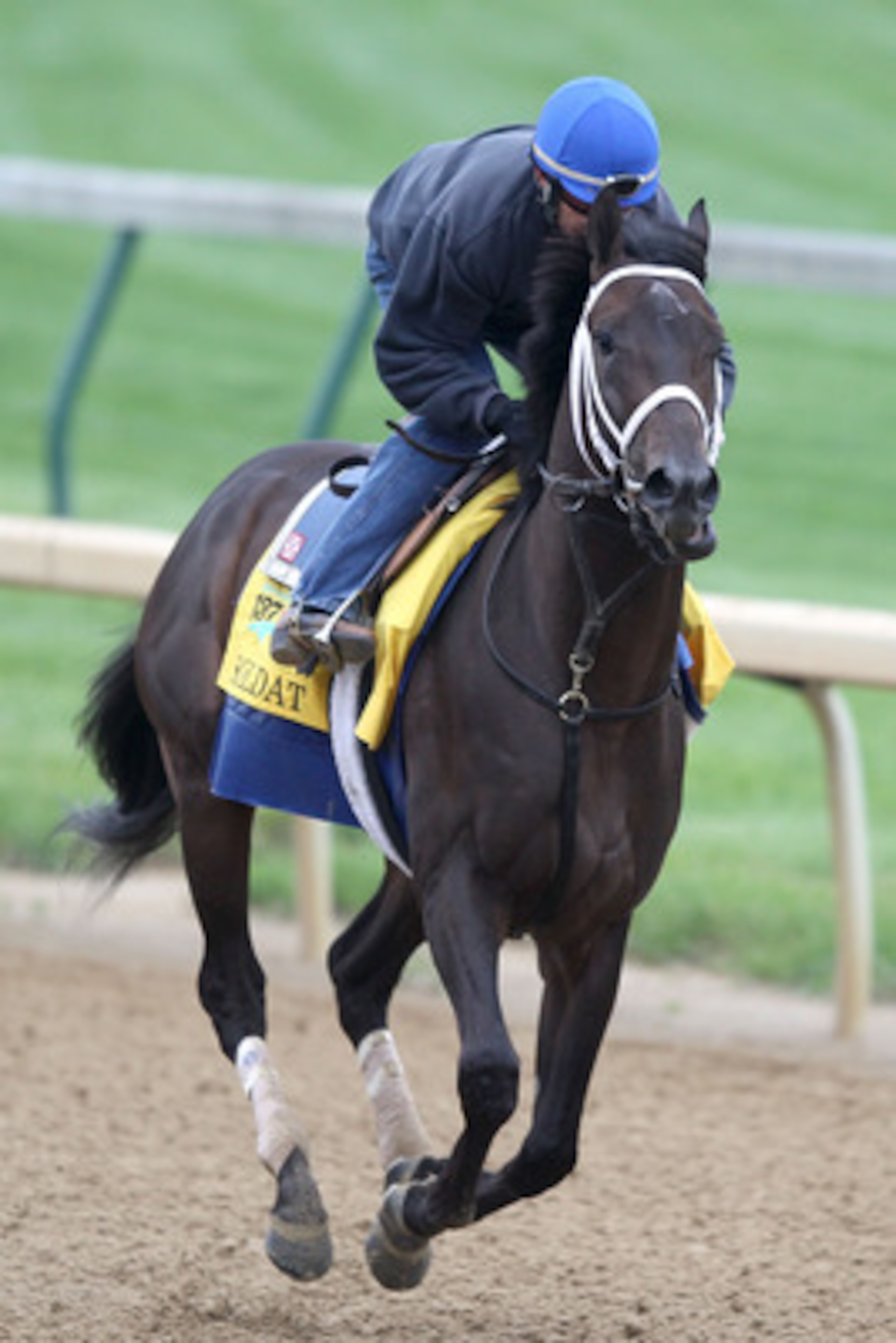 LOUISVILLE, KY - MAY 04: Soldat runs trains the morning exercise session in preparation for the 137th Kentucky Derby at Churchill Downs on May 4, 2011 in Louisville, Kentucky. (Photo by Matthew Stockman/Getty Images) LOUISVILLE, KY - MAY 04: Soldat runs trains the morning exercise session in preparation for the 137th Kentucky Derby at Churchill Downs on May 4, 2011 in Louisville, Kentucky. (Photo by Matthew Stockman/Getty Images)