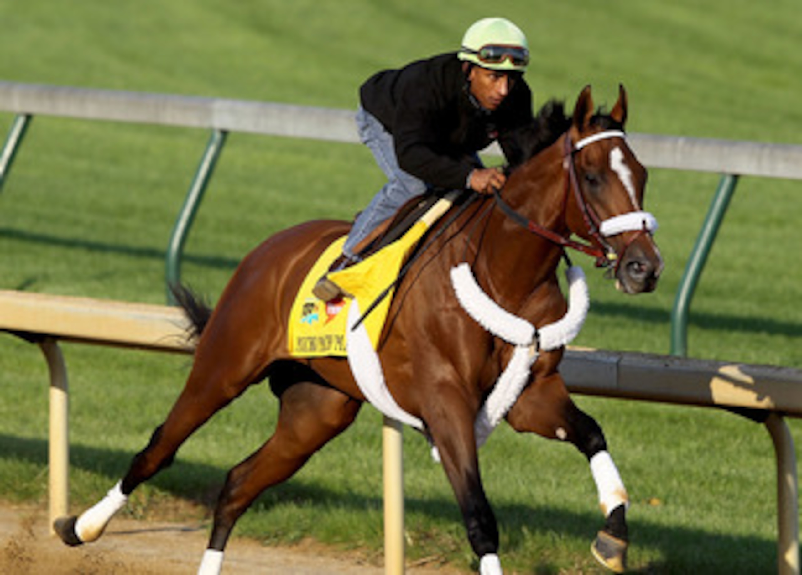 LOUISVILLE, KY - APRIL 30:  Mucho Macho Man runs during the morning exercise session in preparation for the 137th Kentucky Derby at Churchill Downs on April 30, 2011 in Louisville, Kentucky.  (Photo by Matthew Stockman/Getty Images)
