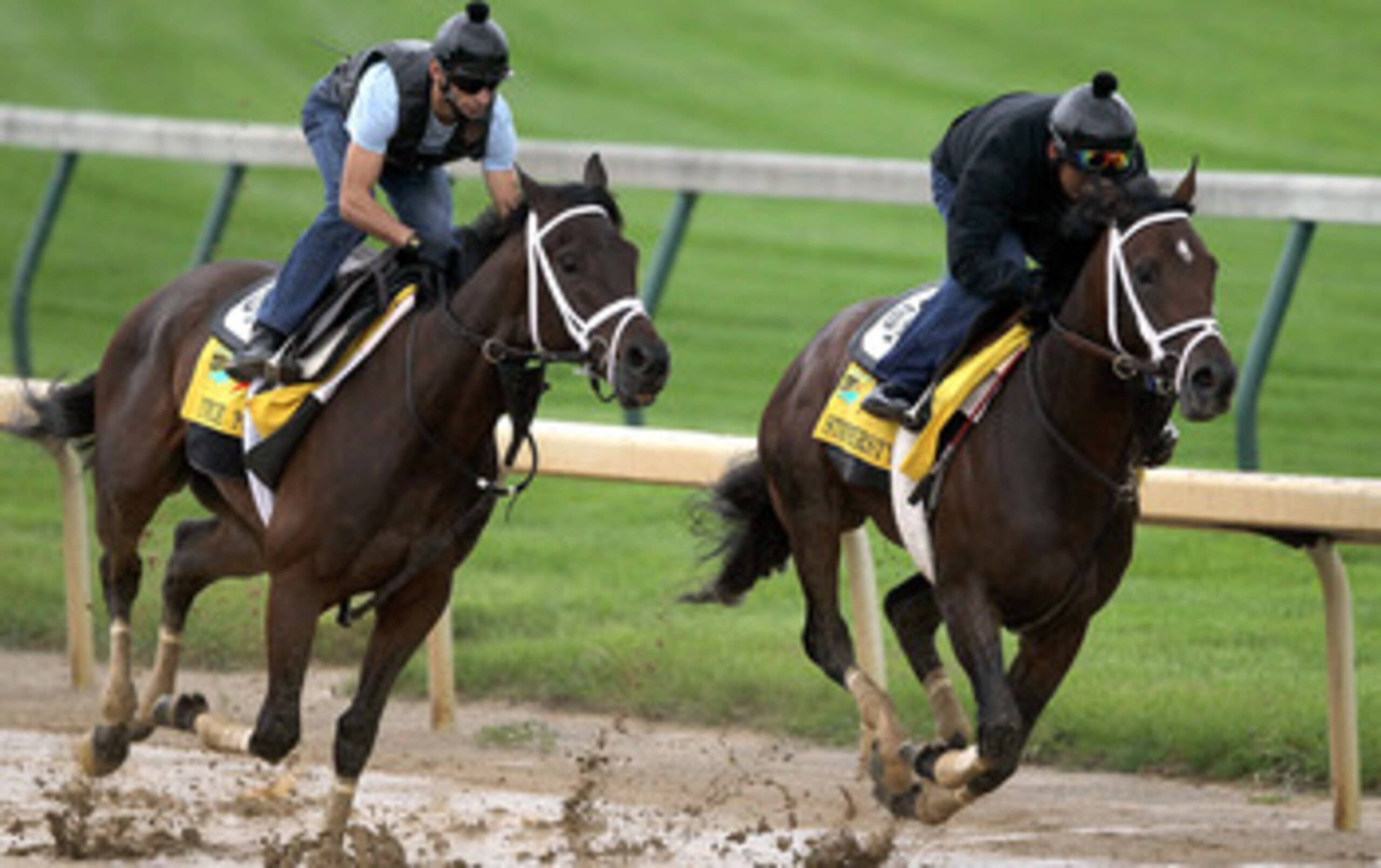 LOUISVILLE, KY - MAY 01:  Uncle Mo works out along side Stay Thirsty during the morning exercise session in preparation for the 137th Kentucky Derby at Churchill Downs on May 1, 2011 in Louisville, Kentucky.  (Photo by Matthew Stockman/Getty Images)