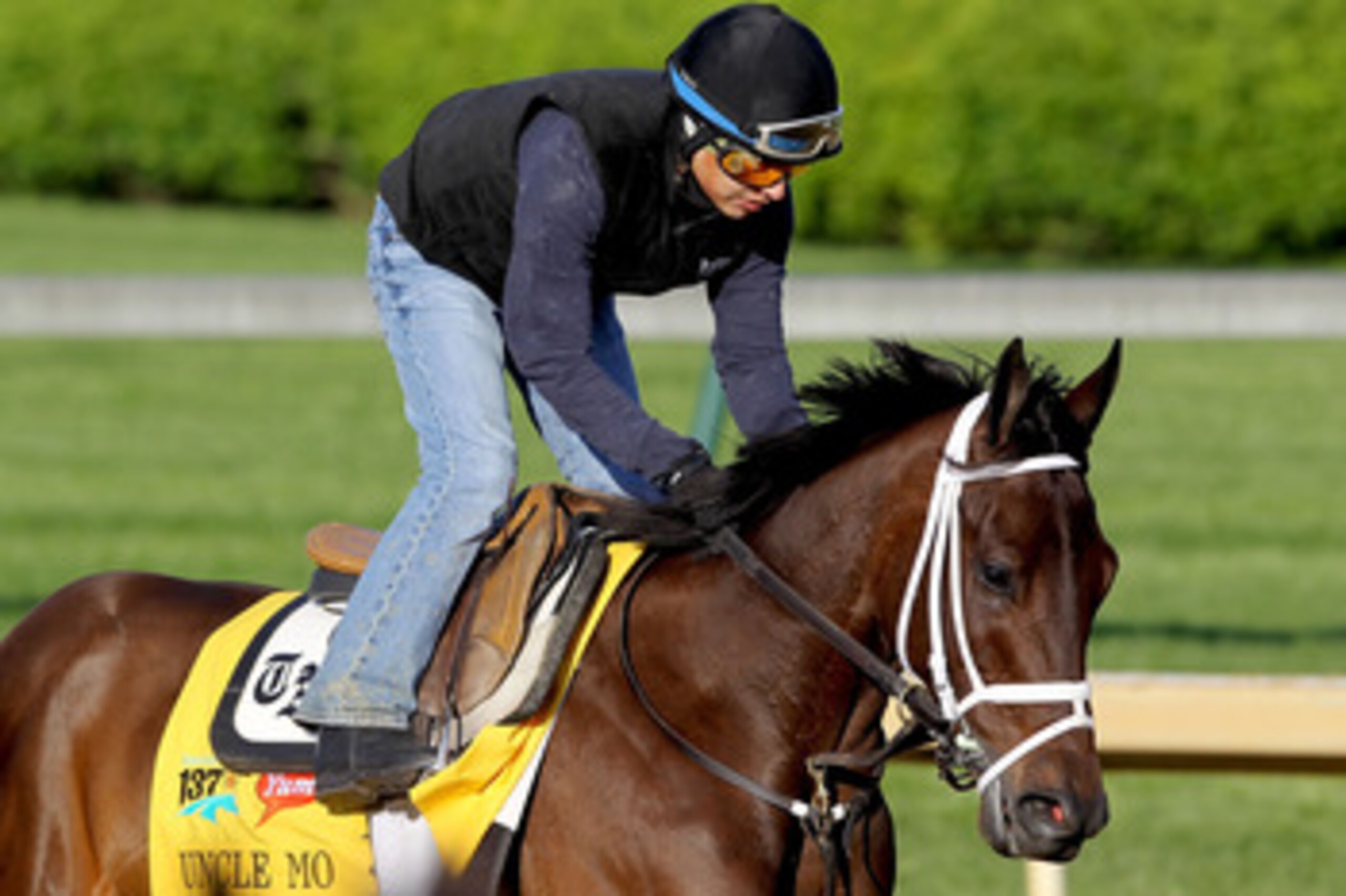 LOUISVILLE, KY - APRIL 29:  Uncle Mo runs during the morning exercise session in preparation for the 137th Kentucky Derby at Churchill Downs on April 29, 2011 in Louisville, Kentucky.  (Photo by Matthew Stockman/Getty Images)