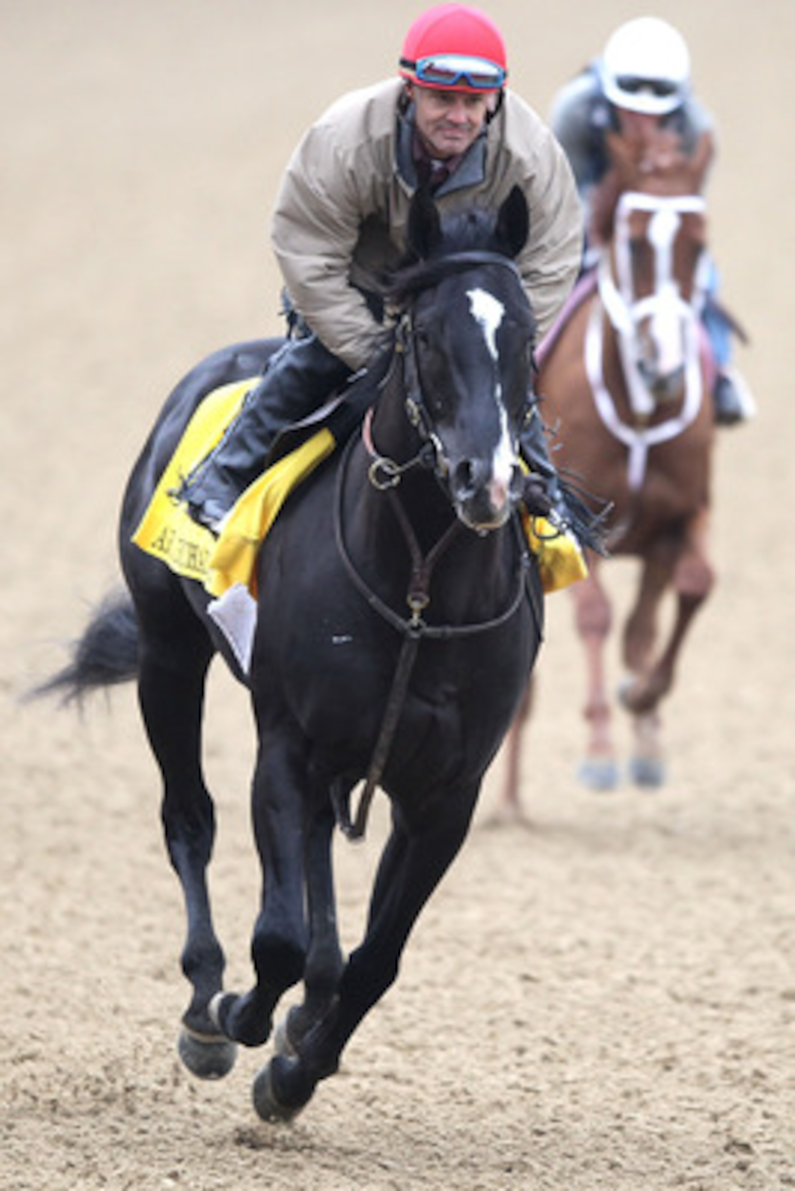 LOUISVILLE, KY - MAY 04:  ArchArchArch trains during the morning exercise runs session in preparation for the 137th Kentucky Derby at Churchill Downs on May 4, 2011 in Louisville, Kentucky.  (Photo by Matthew Stockman/Getty Images)
