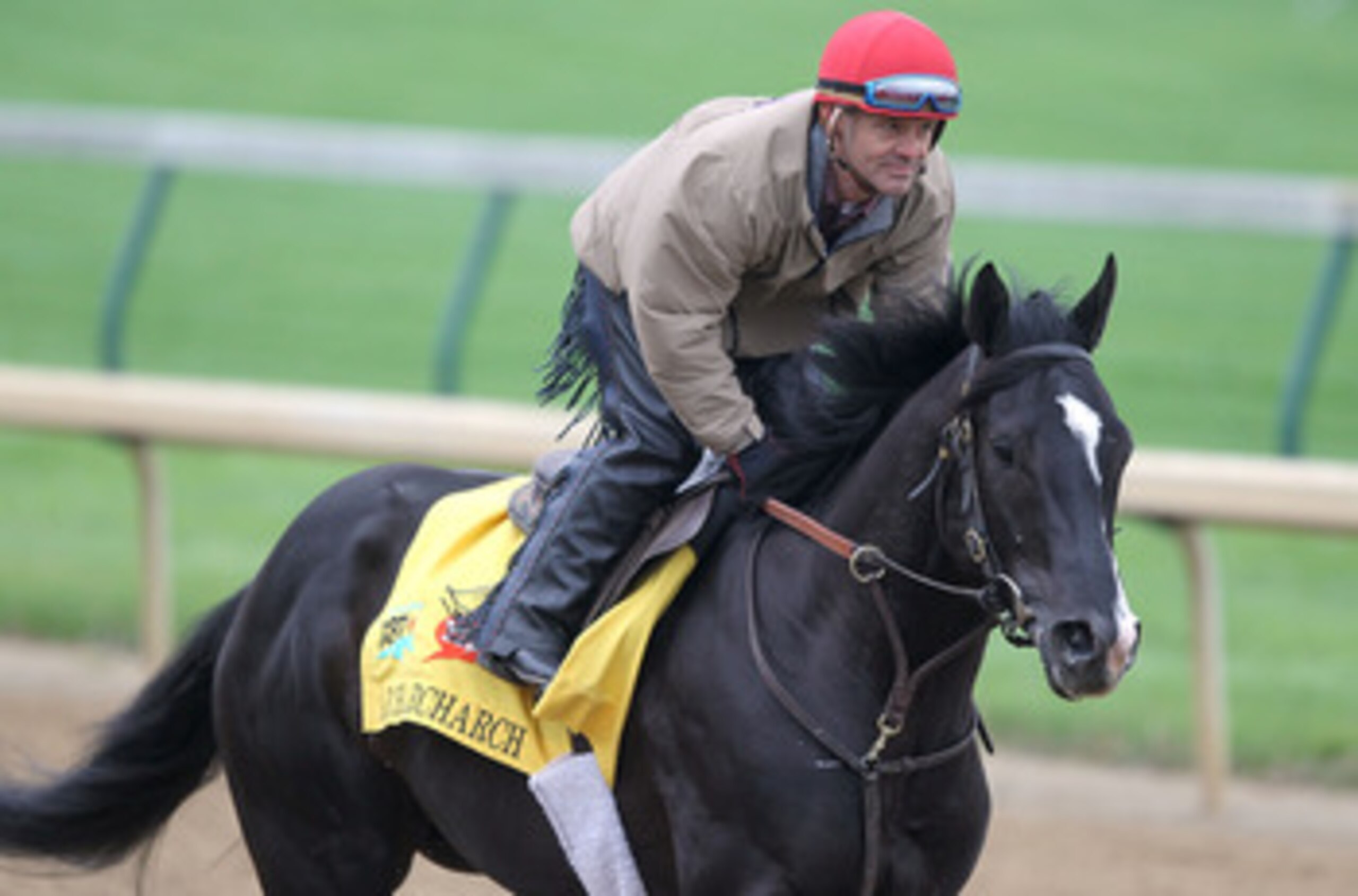 LOUISVILLE, KY - MAY 04:  ArchArchArch trains during the morning exercise runs session in preparation for the 137th Kentucky Derby at Churchill Downs on May 4, 2011 in Louisville, Kentucky.  (Photo by Matthew Stockman/Getty Images)